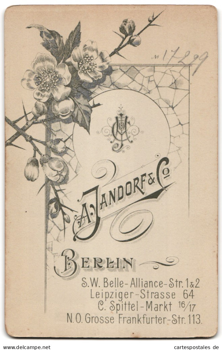 Fotografie A. Jandorf & Co., Berlin-SW, Belle-Alliance-Str. 1 & 2, Brügerliche Dame Im Kleid Mit Blumen  - Anonyme Personen