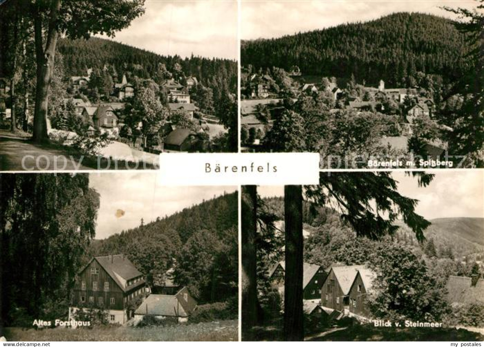 72920550 Baerenfels Erzgebirge Altes Forsthaus Spitzberg Altenberg - Altenberg