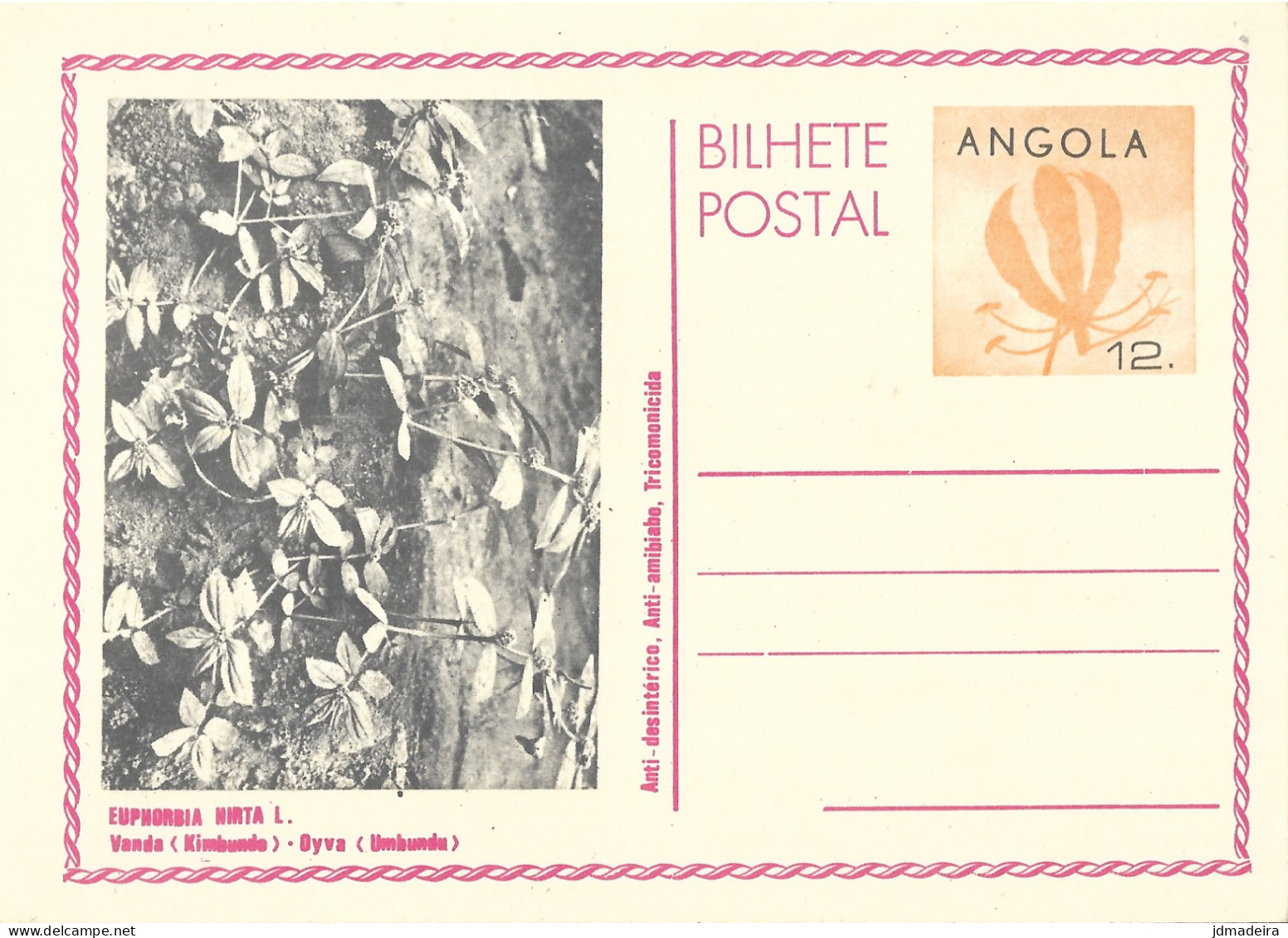 Angola Set Of Mint FLOWER Stationary Cards - Angola