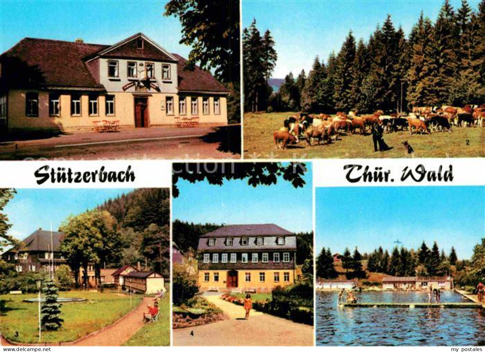 72919596 Stuetzerbach Gasthaus Auerhahn Kuhherde Kurpark Goethehaus Schwimmbad S - Sonstige & Ohne Zuordnung