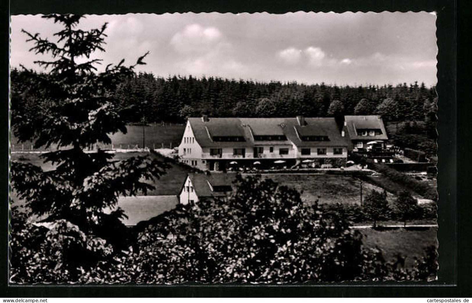 AK Winterberg /Hochsauerland, Privat-Hotel Waldhaus  - Winterberg