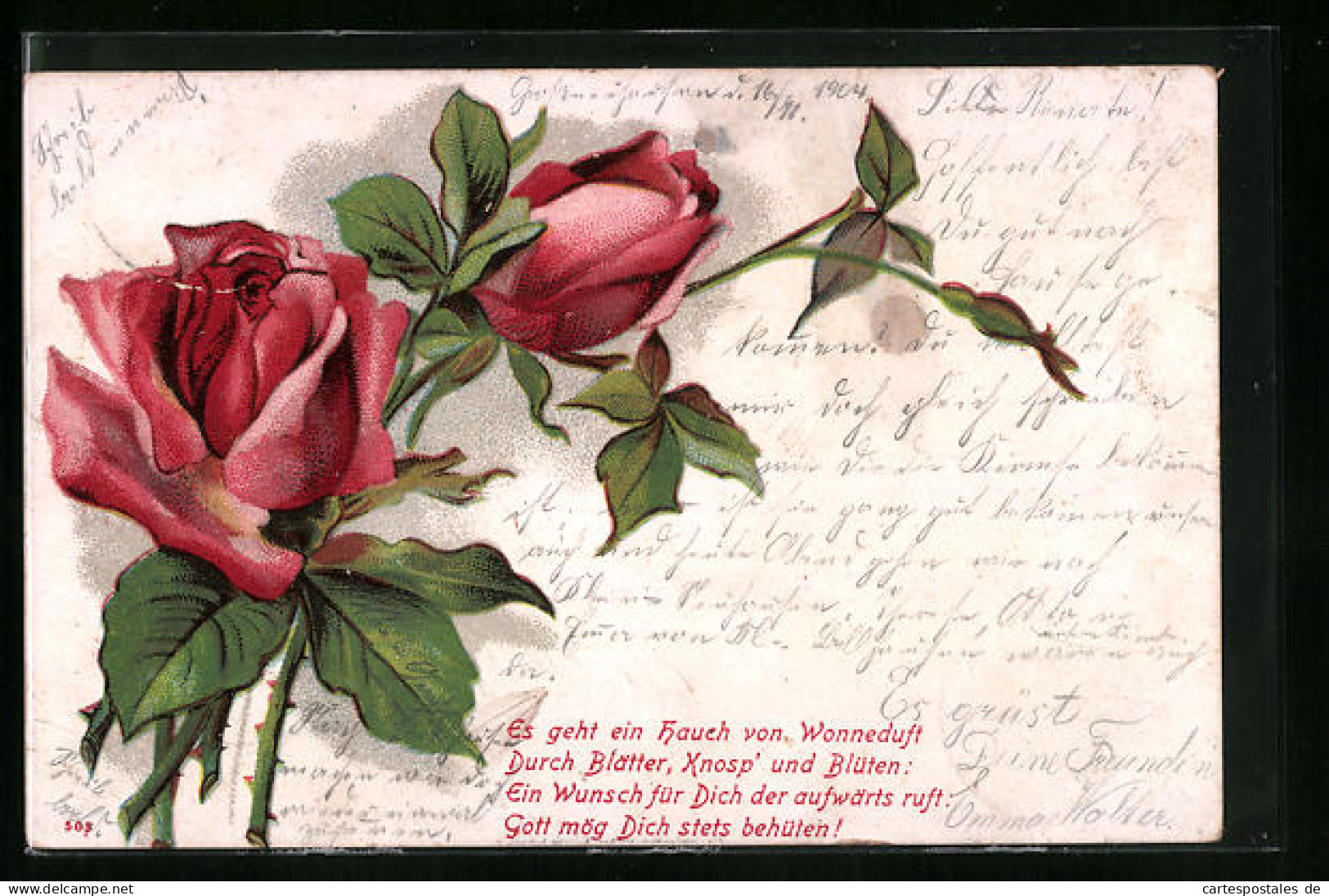 Lithographie Rote Rosen Mit Knospen  - Autres & Non Classés