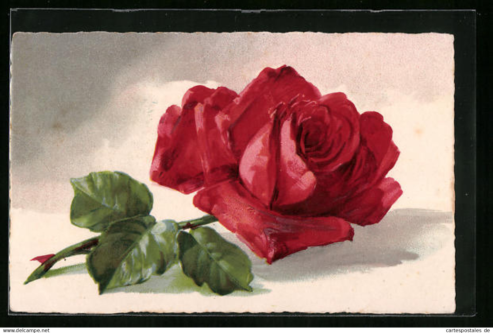 Künstler-AK Rote Rose In Voller Blüte  - Sonstige & Ohne Zuordnung