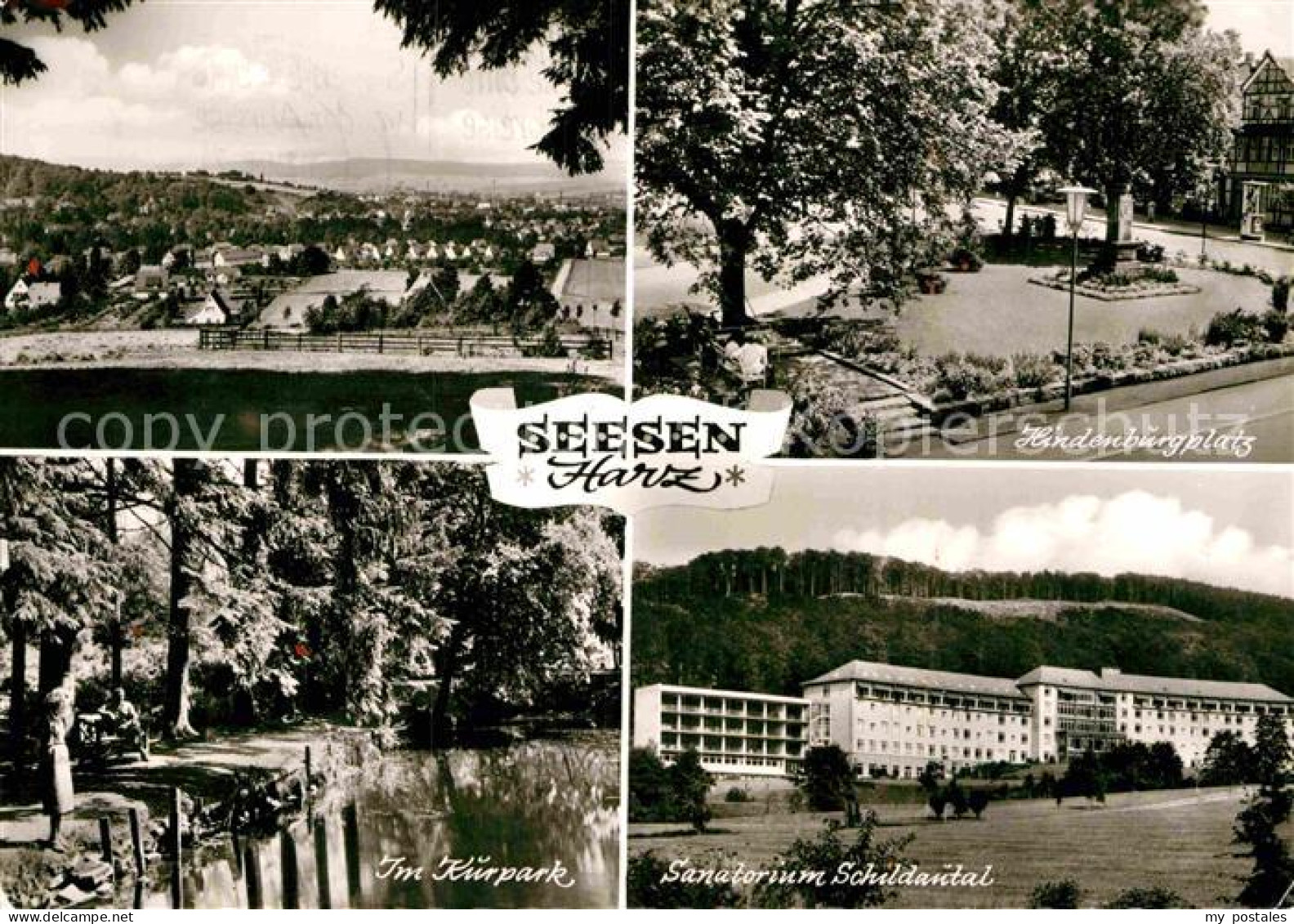 72919140 Seesen Harz Panorama Hindenburgplatz Kurpark Sanatorium Schildautal See - Seesen