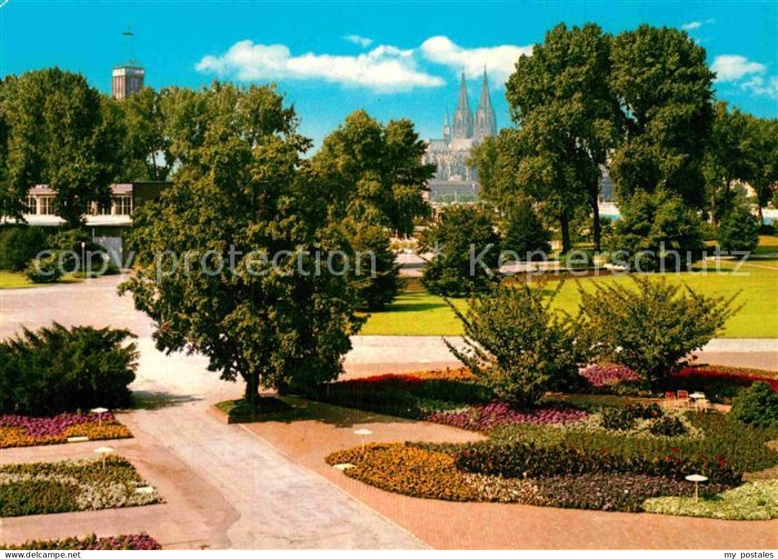 72917597 Koeln Rhein Rheinpark Blick Zum Dom Koeln - Köln