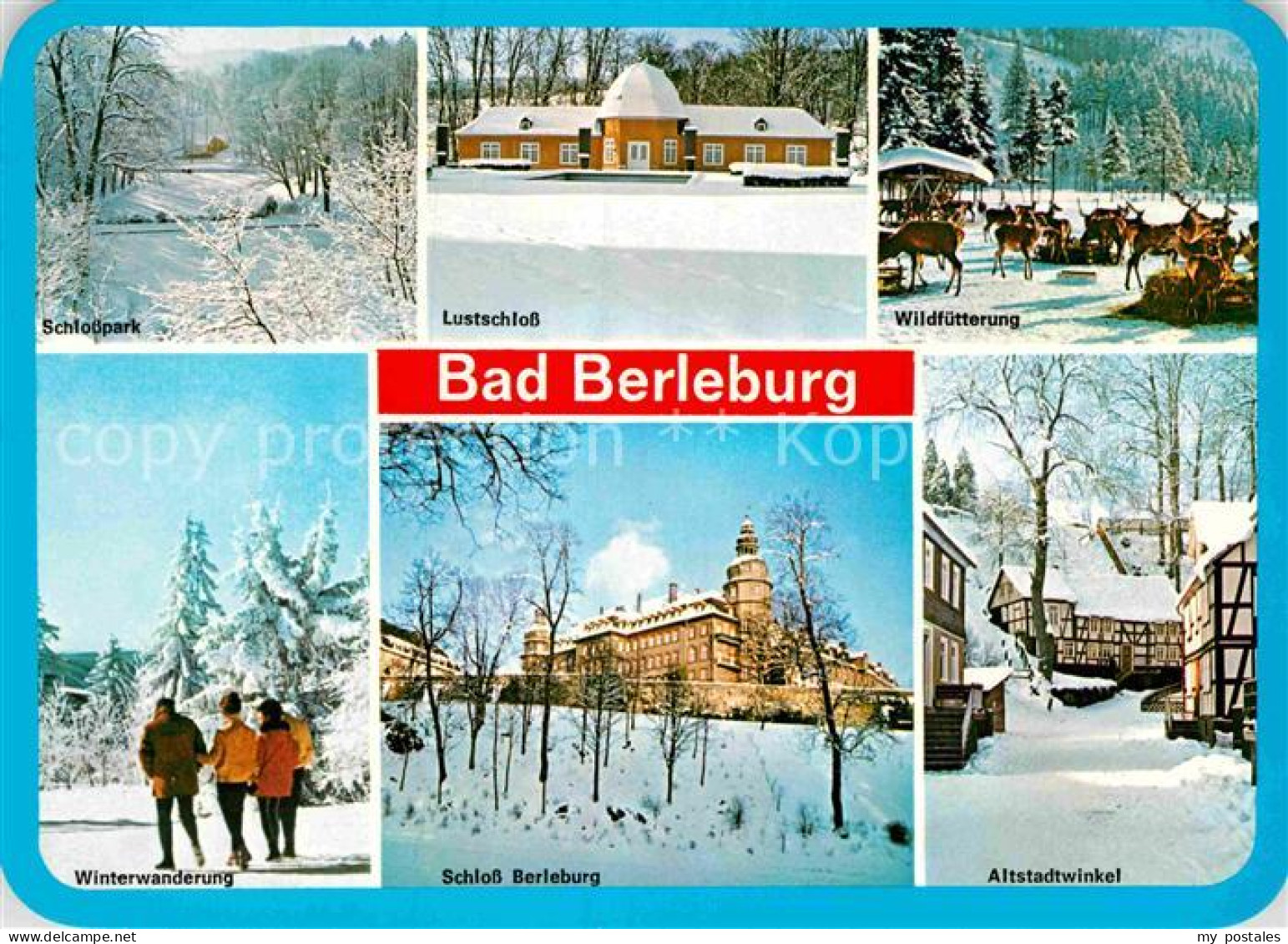 72917121 Bad Berleburg Lustschloss Wildfuetterung Schloss Berleburg  Bad Berlebu - Bad Berleburg