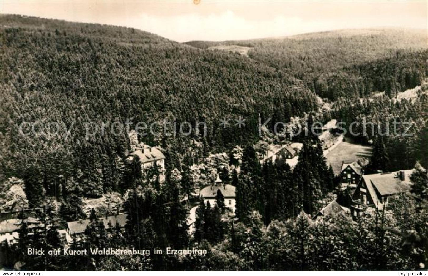 72916652 Waldbaerenburg  Waldbaerenburg - Altenberg