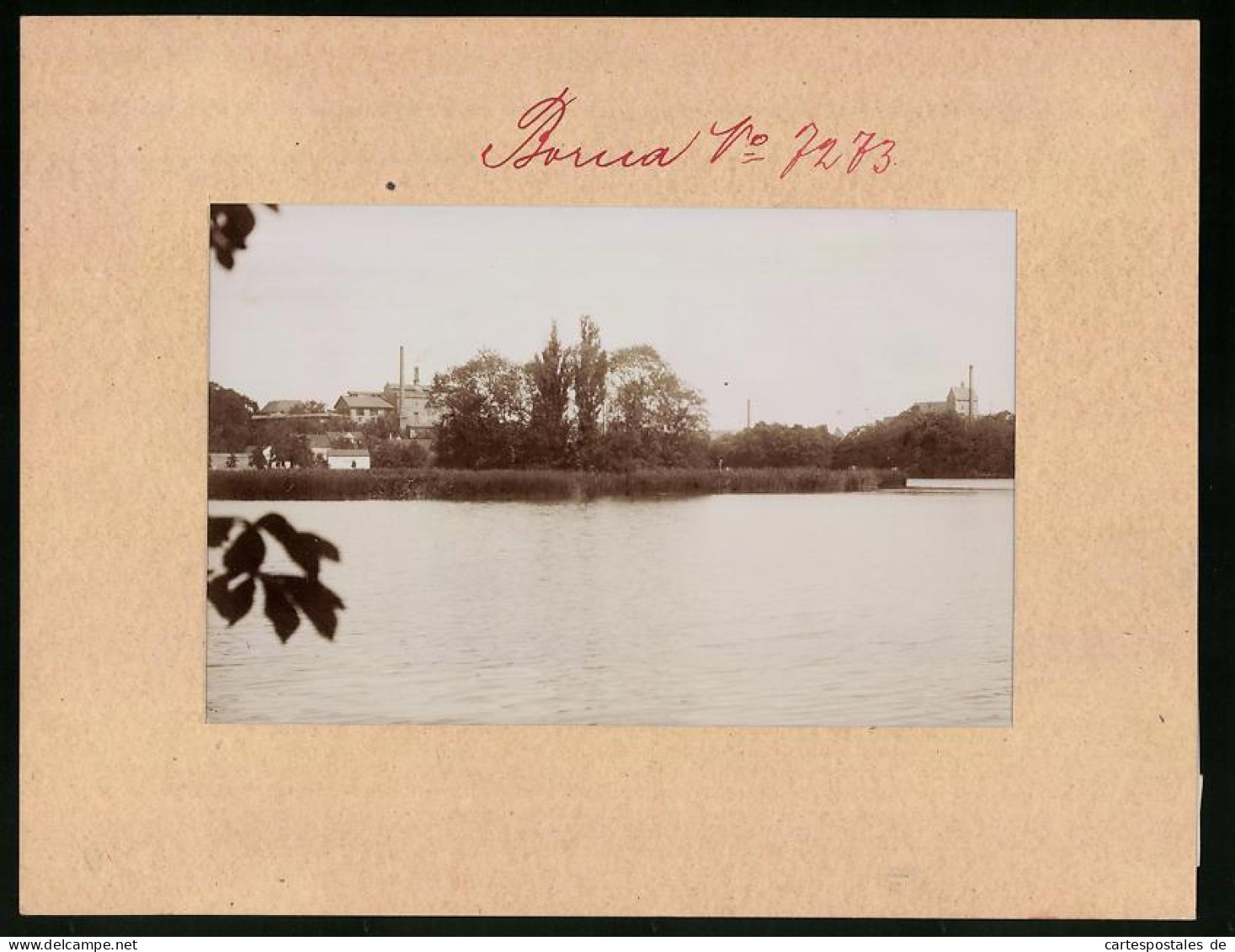 Fotografie Brück & Sohn Meissen, Ansicht Borna Bei Leipzig, Blick über Den Breiten Teich Auf Die Stadt  - Plaatsen