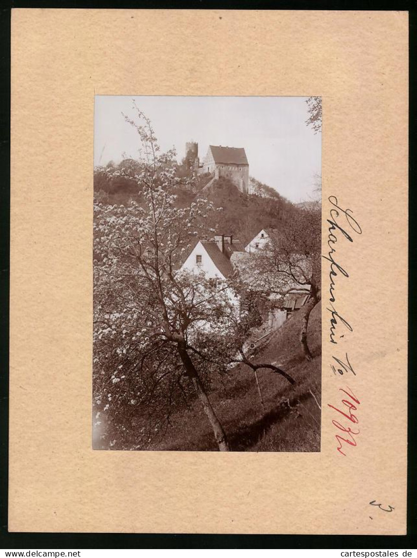 Fotografie Brück & Sohn Meissen, Ansicht Scharfenstein I. Erzg., Blick Vom Berg Auf Das Schloss Scharfenstein  - Places