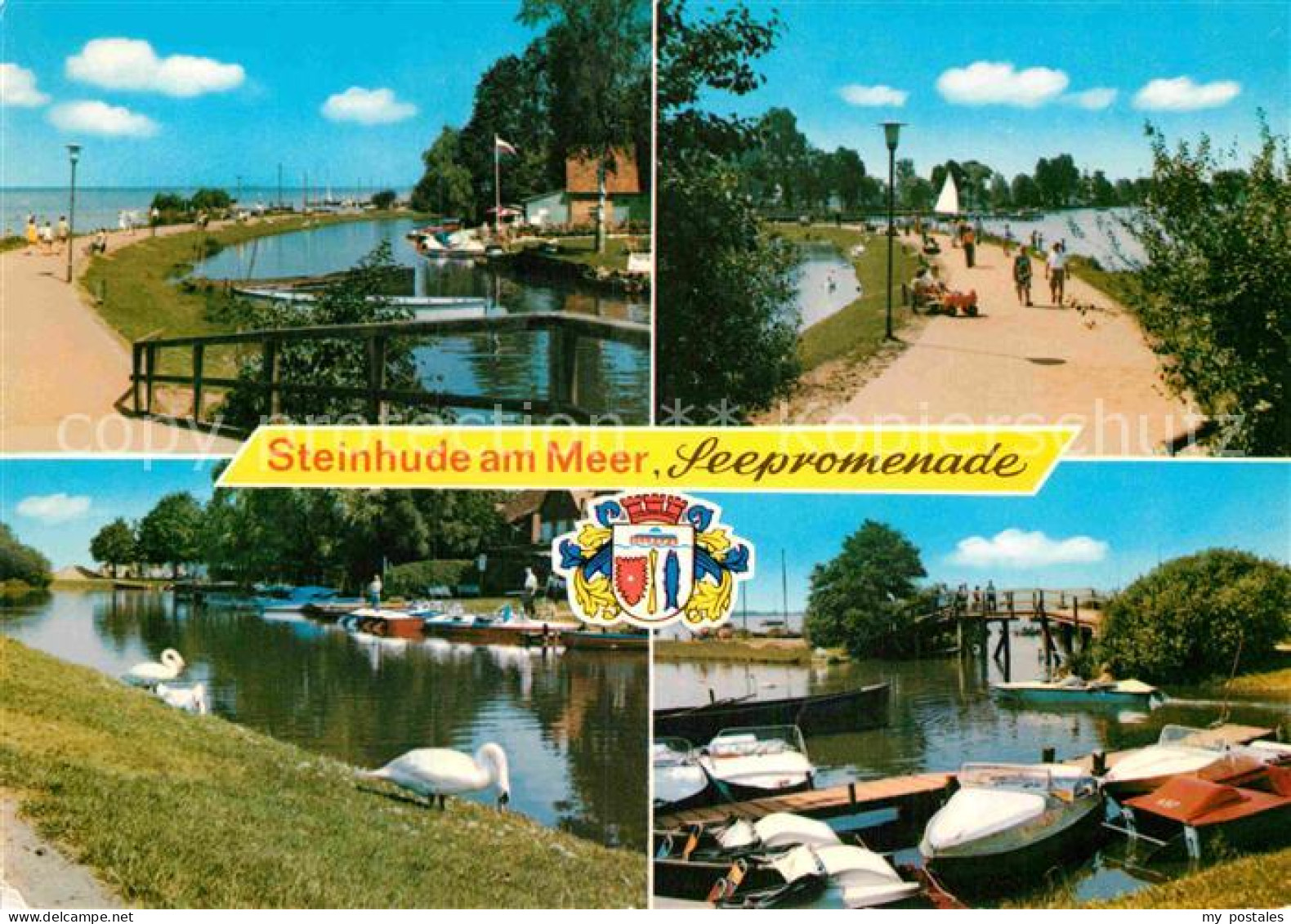 72914910 Steinhude Seepromenade Hafen Steinhuder Meer Schwaene Steinhude - Steinhude