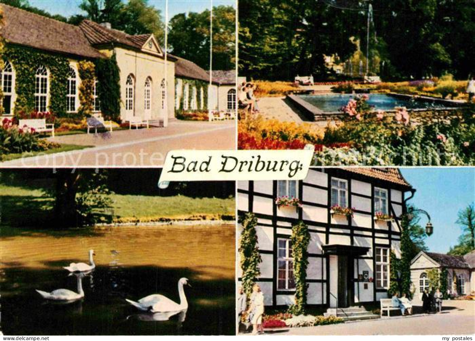 72914778 Bad Driburg Kurhaus Schwanenteich Park Teich Fachwerkhaus Alhausen - Bad Driburg