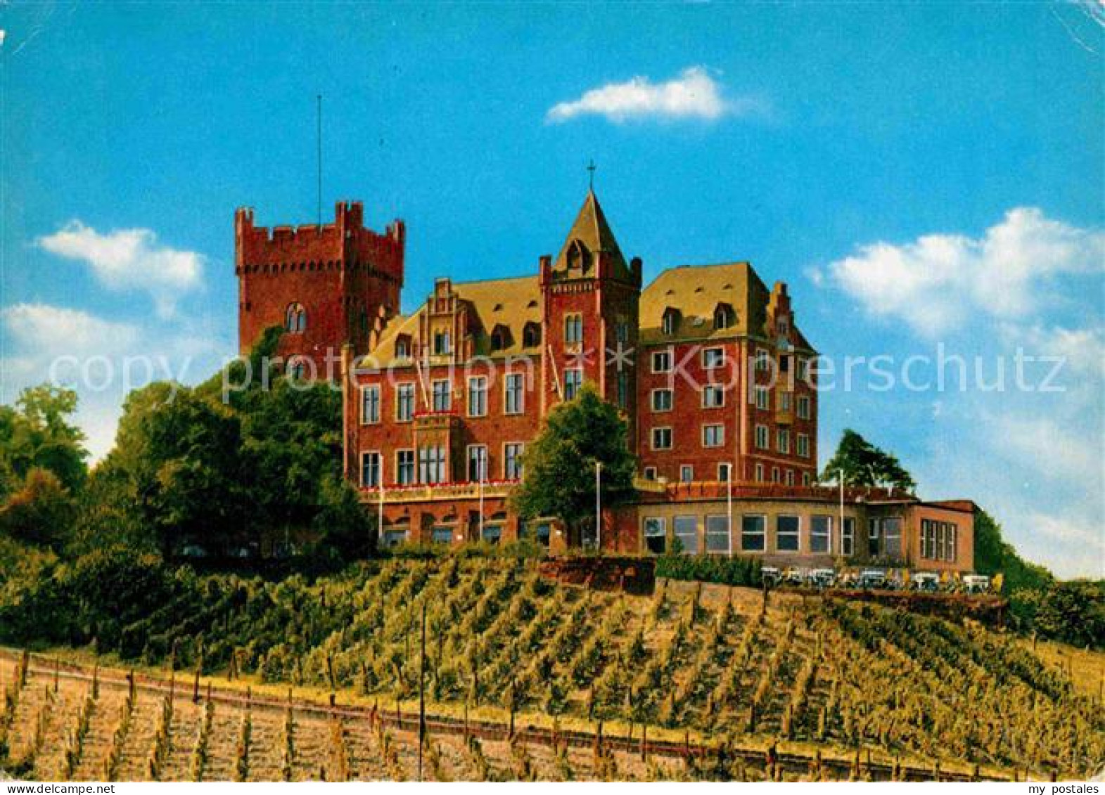 72914728 Bingen Rhein Burg Klopp Weinberge Bingen Am Rhein - Bingen