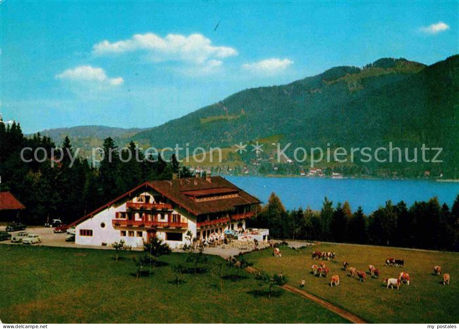 72913961 Bad Wiessee Berggasthof Sonnenbichl Bad Wiessee - Bad Wiessee