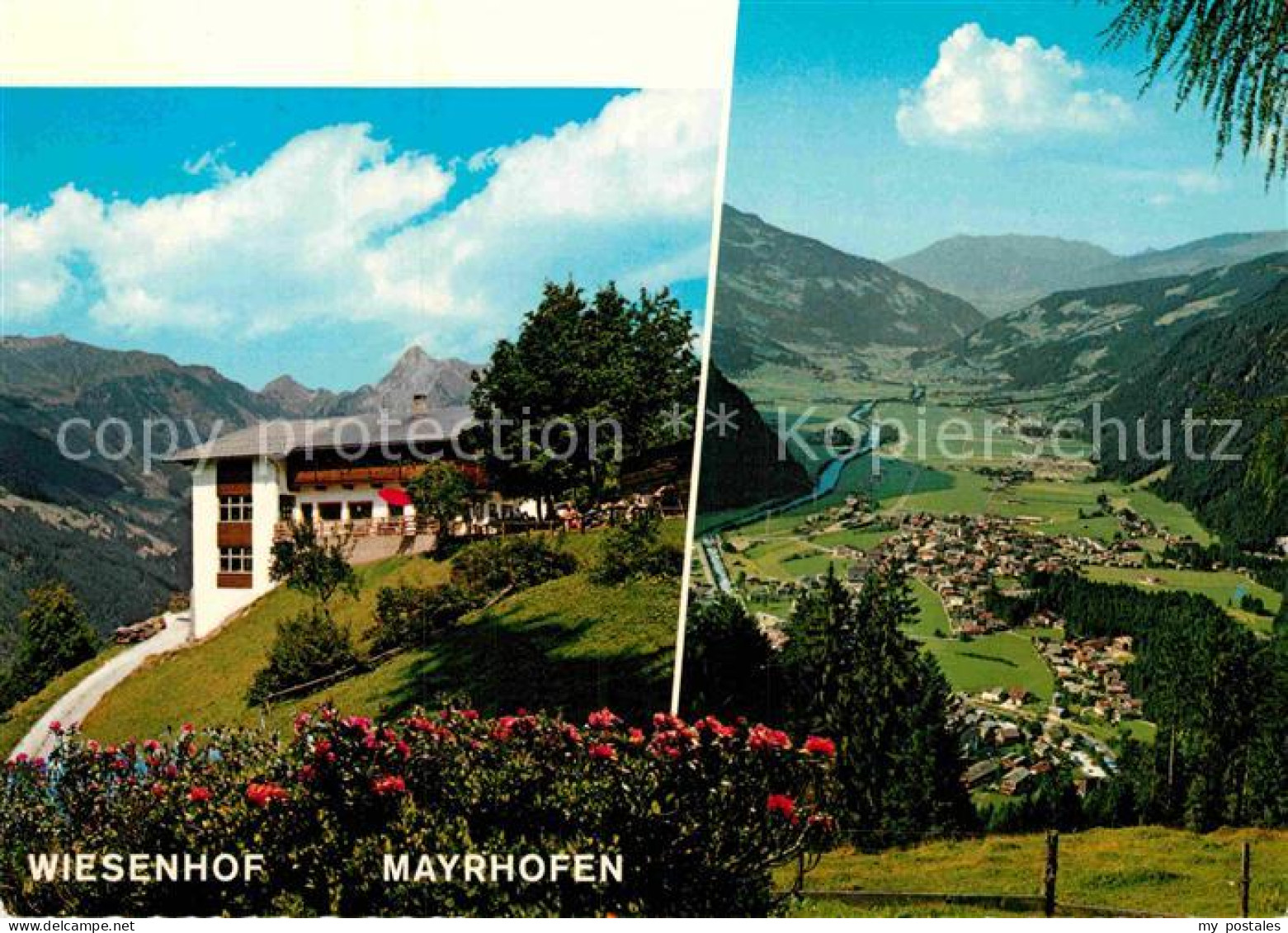 72913875 Mayrhofen Zillertal Alpengasthof Wiesenhof Brandberg Kolm  Mayrhofen - Autres & Non Classés