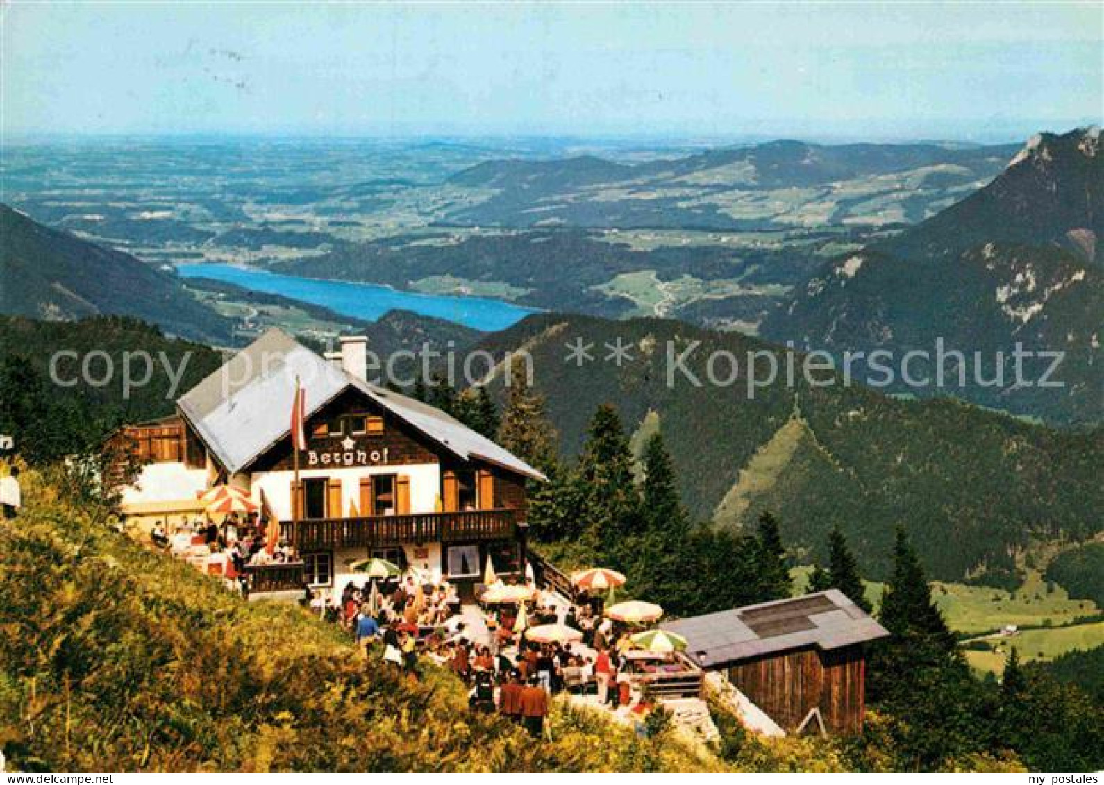 72913847 Salzburg Oesterreich Berghof Zwoelferhorn Salzburg - Otros & Sin Clasificación