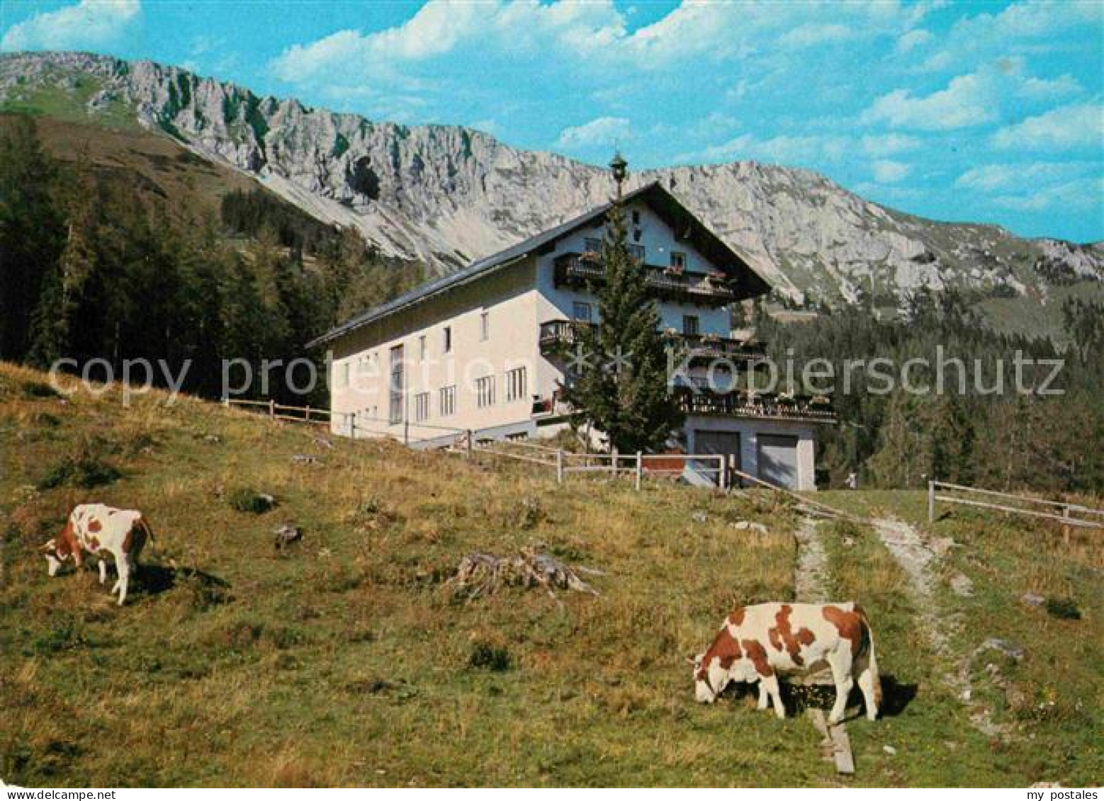 72913824 Gross Veitsch Alpengasthaus Scheikl Veitsch - Other & Unclassified