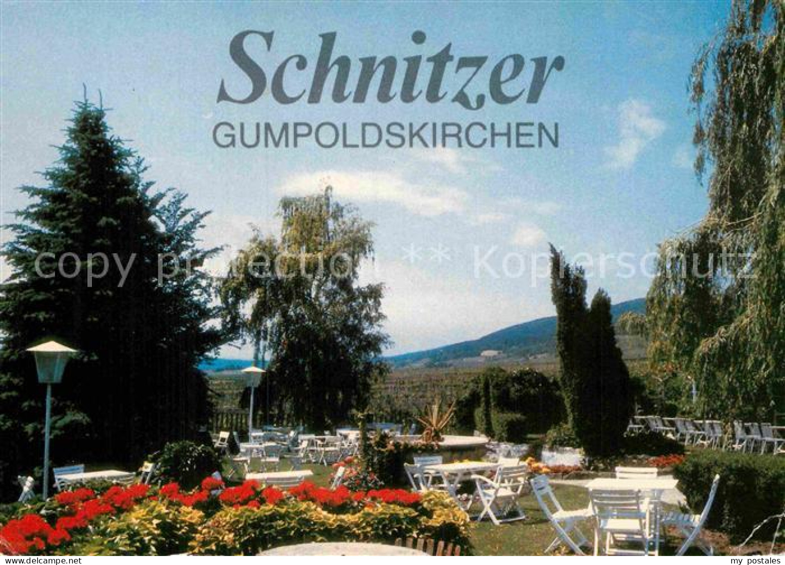 72913817 Gumpoldskirchen Niederoesterreich Weinbau Schnitzer Rez Gumpoldskirchen - Other & Unclassified