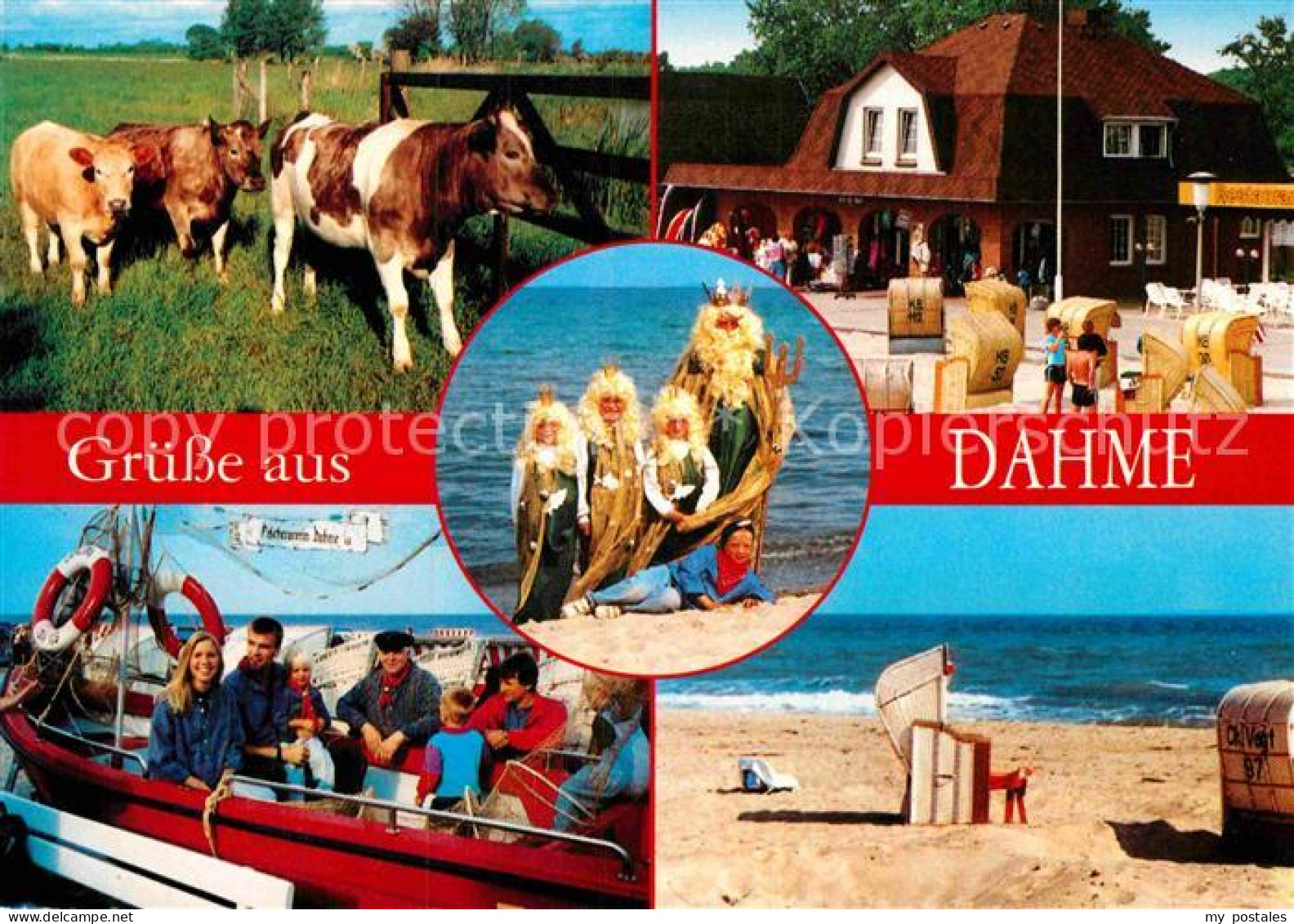 72913791 Dahme Ostseebad Kuehe Strand Rudolf Hoeppner  Dahme - Other & Unclassified