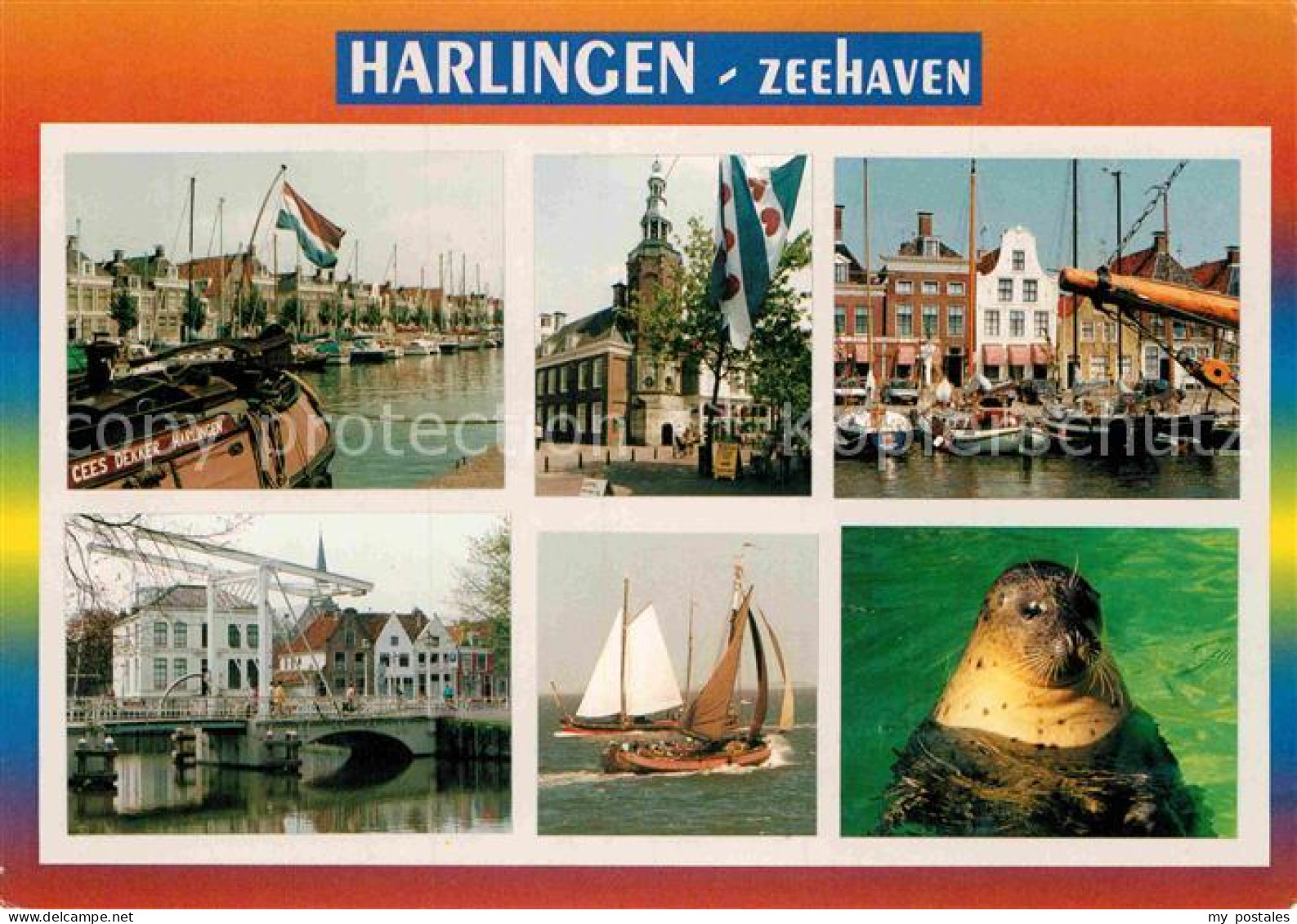 72913790 Harlingen Friesland Zeehaven Seeloewe Harlingen Friesland - Altri & Non Classificati