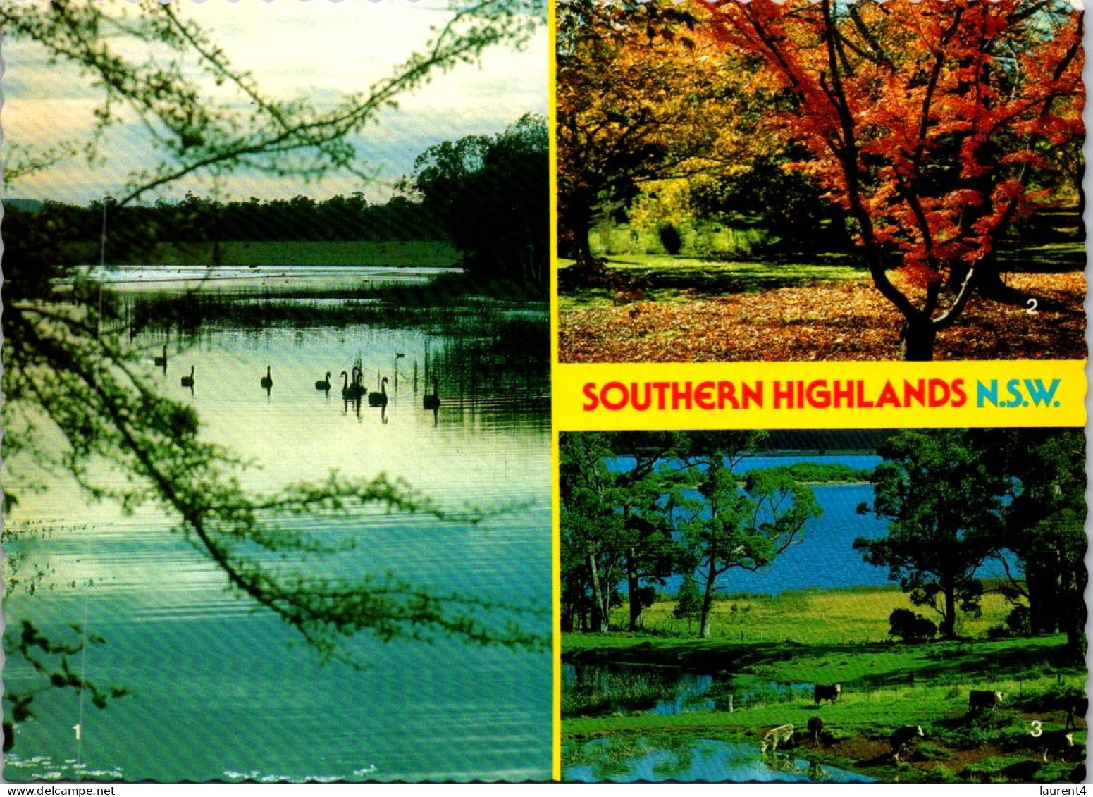 12-5-2024 (4 Z 46) Australia (posted With Butterfly Stamp 1970's) (older) NSW - Southern Highlands - Altri & Non Classificati