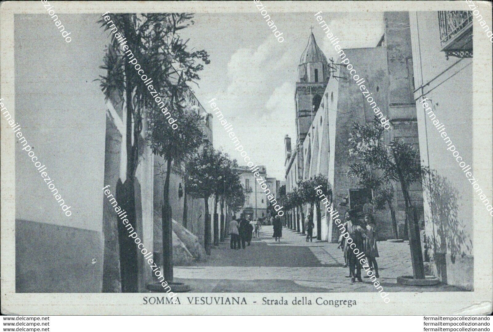 Bi6 Cartolina Somma Vesuviana Strada Della Congrega Provincia Di Napoli - Napoli (Neapel)