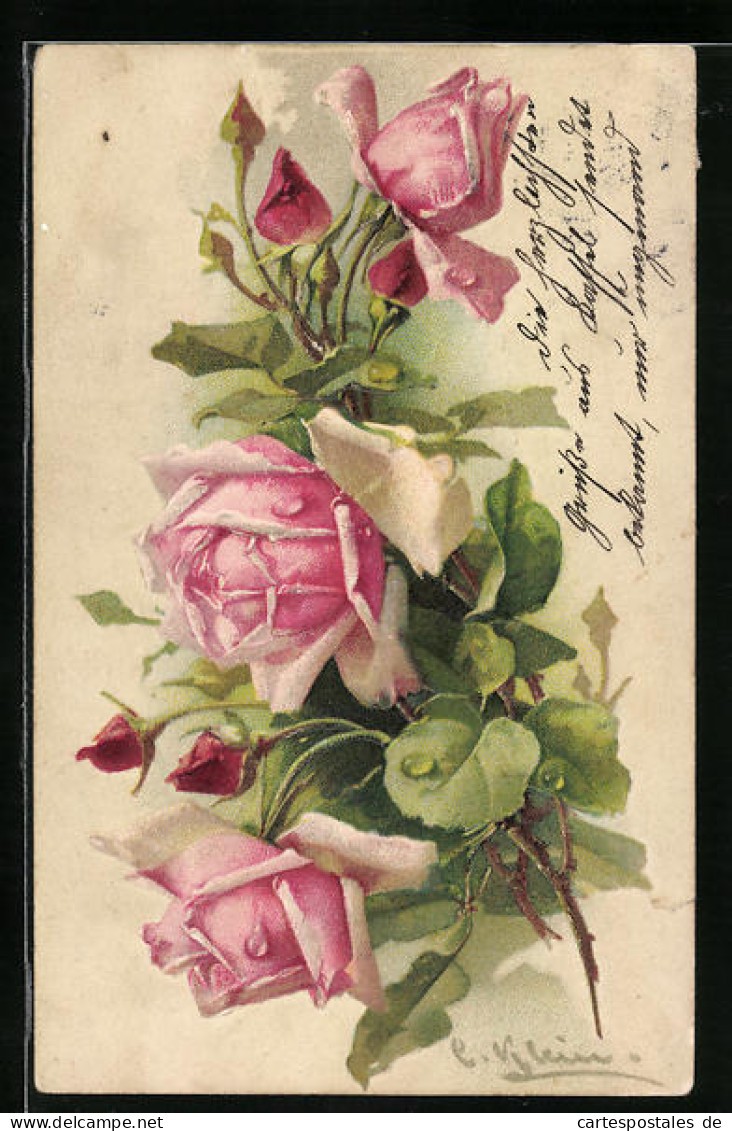 Künstler-AK Catharina Klein: Rosa Rosenblüten  - Klein, Catharina