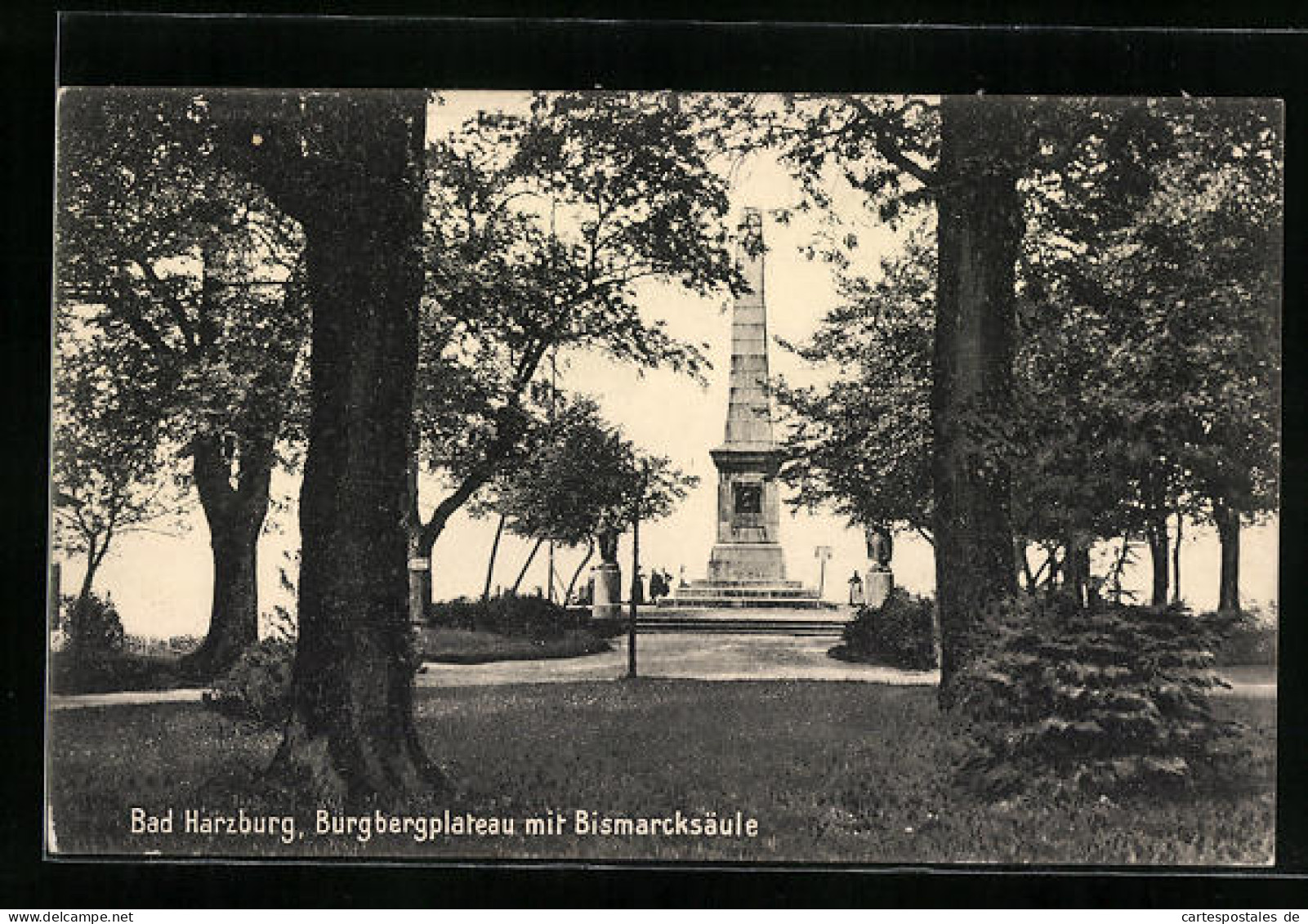 AK Bad Harzburg, Burgbergplateau Mit Bismarcksäule  - Bad Harzburg