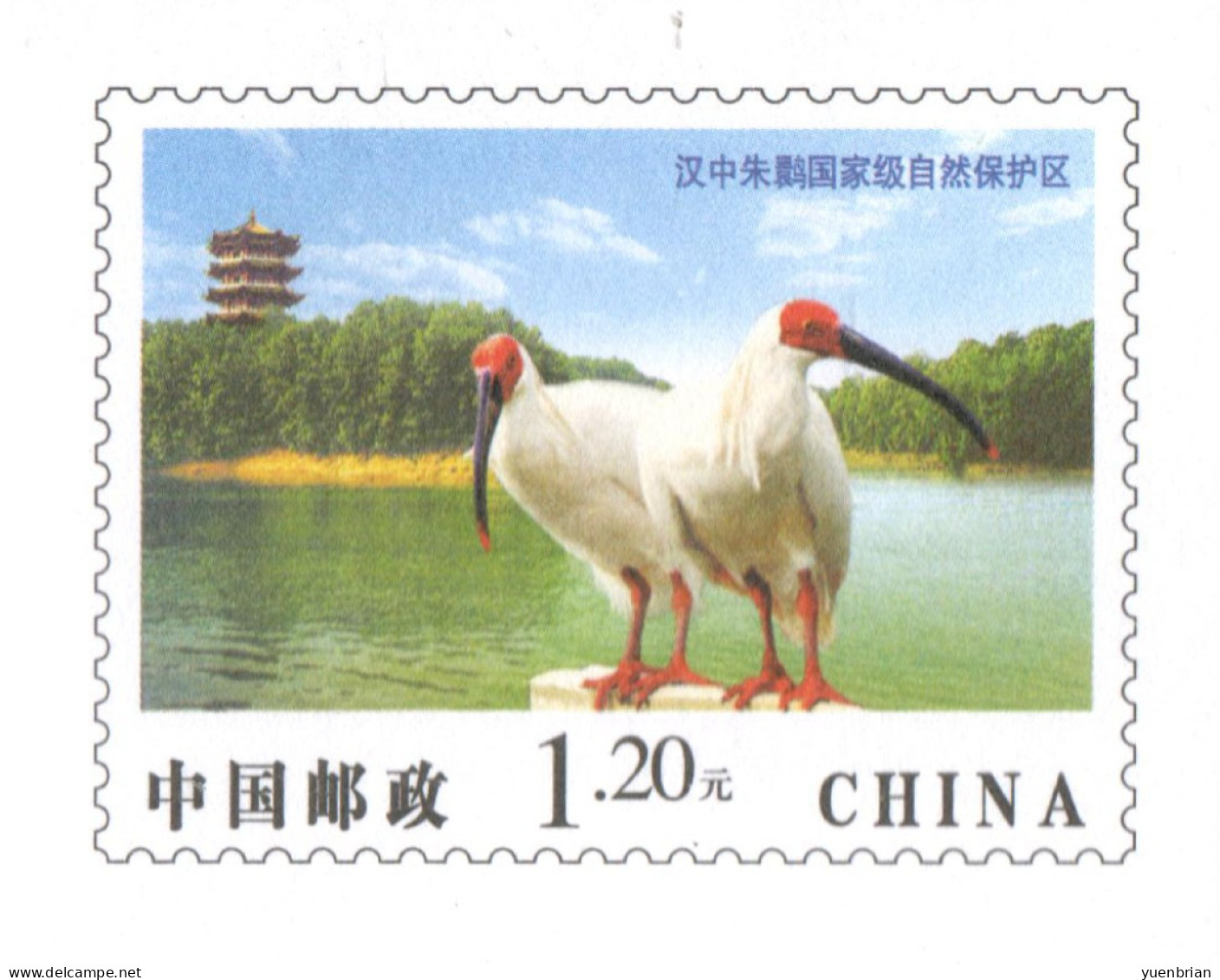China 2009, Postal Stationary, Pre-Stamped Cover $1.20, Crane, MNH** - Aves Gruiformes (Grullas)