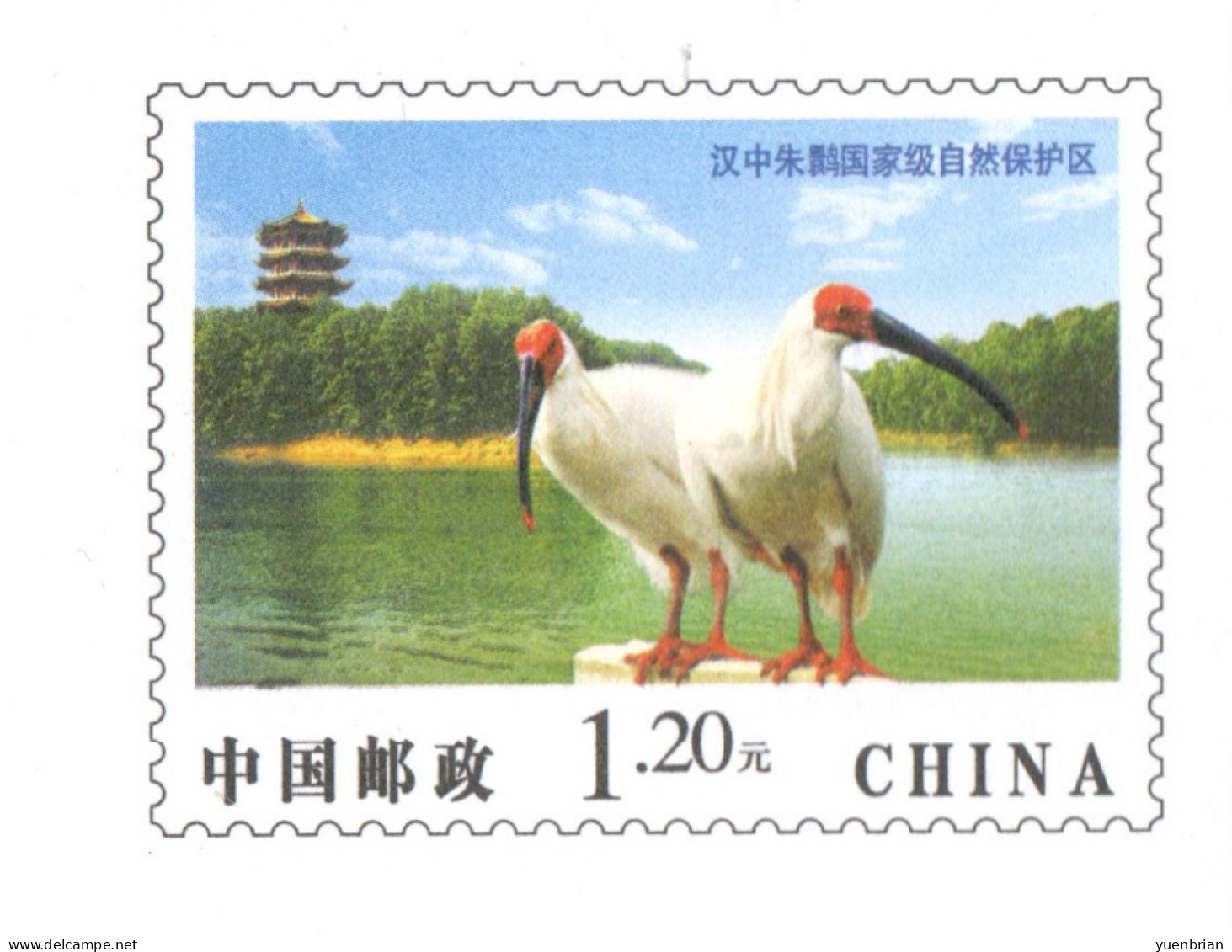 China 2009, Postal Stationary, Pre-Stamped Cover $1.20, Crane, MNH** - Cranes And Other Gruiformes