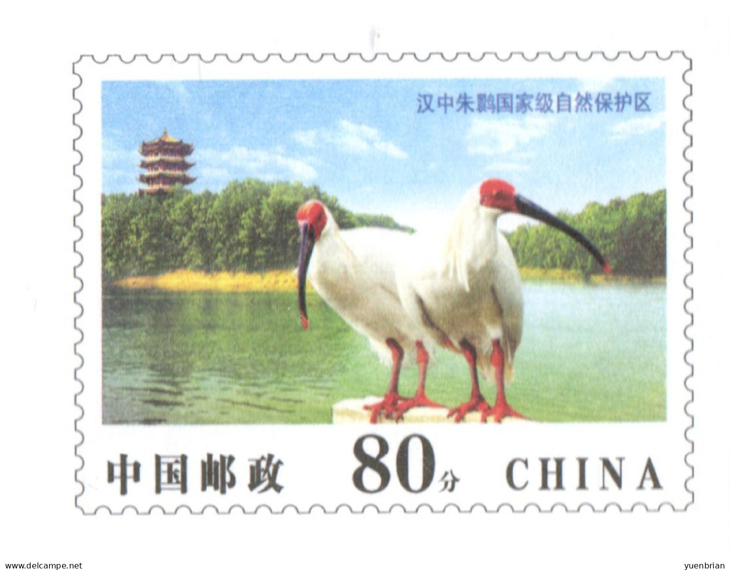 China 2006, Postal Stationary, Pre-Stamped Cover 80-Cent, Crane, MNH** - Gru & Uccelli Trampolieri