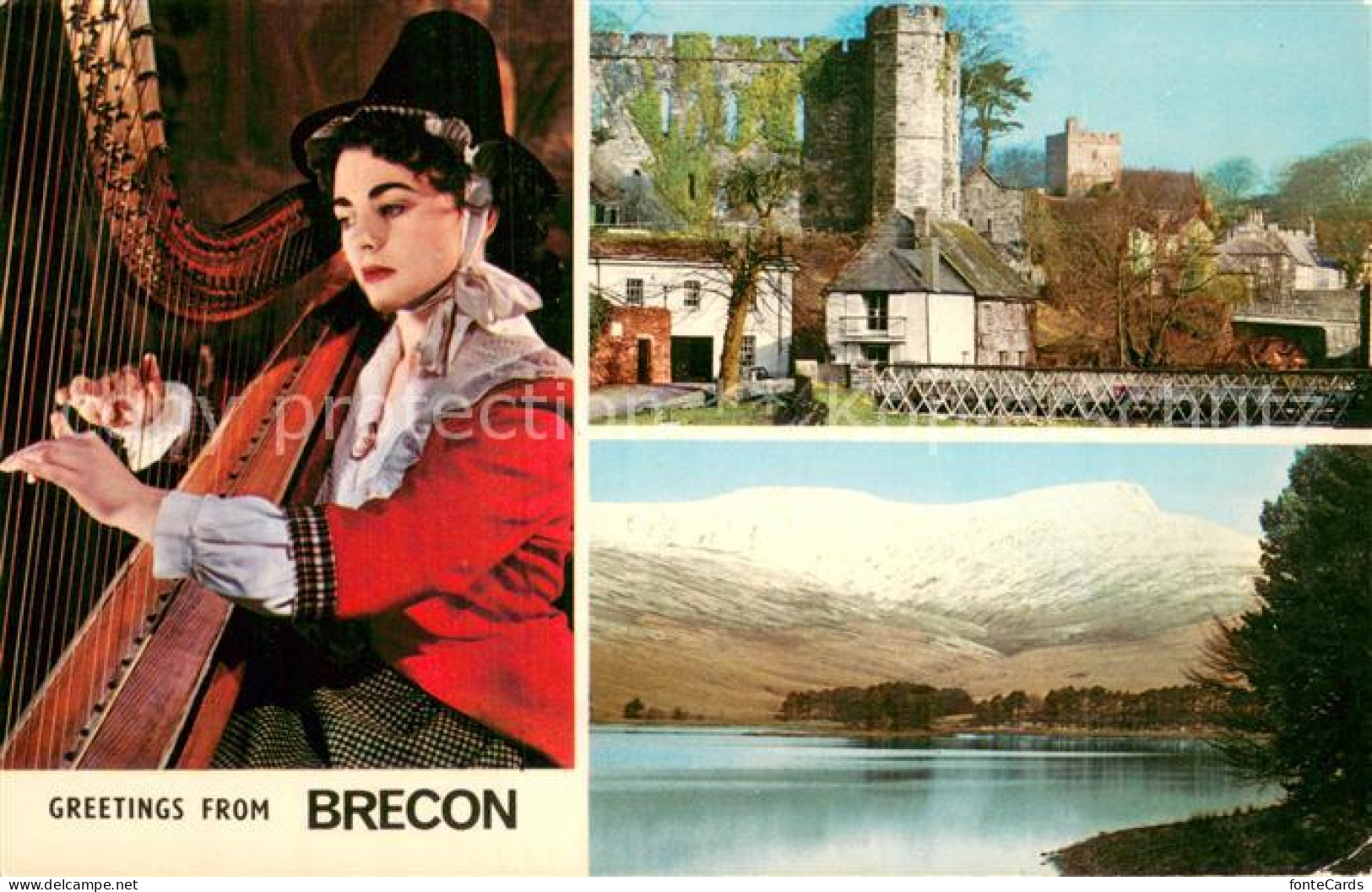 73781361 Brecon UK The Castle Panorama Zitherspielerin  - Autres & Non Classés