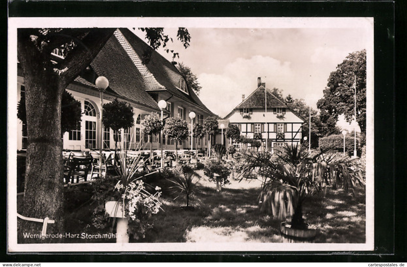 AK Wernigerode /Harz, Gasthaus Storchmühle  - Wernigerode