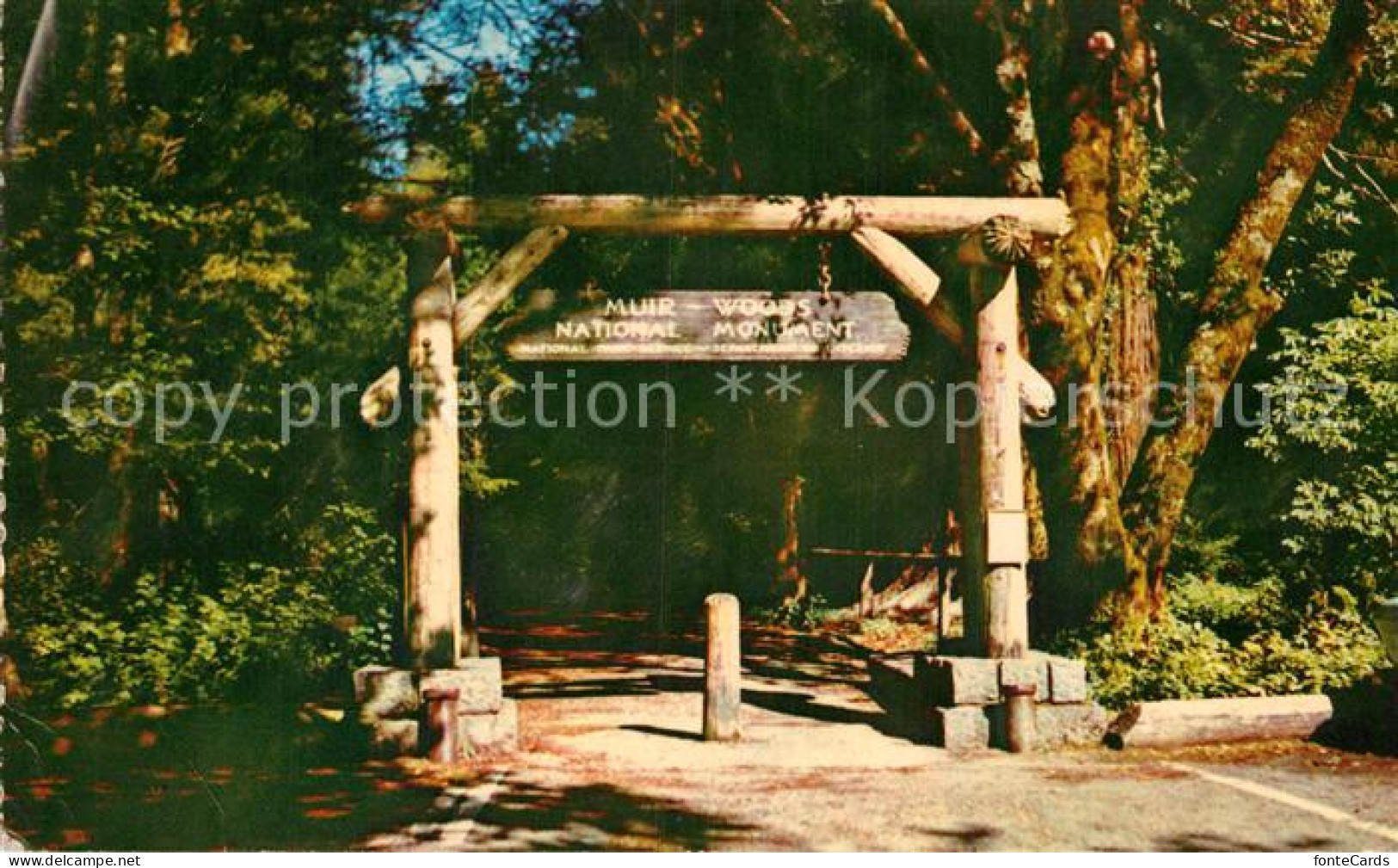 72938725 Mill_Valley Gateway To Muir Woods National Monument - Other & Unclassified