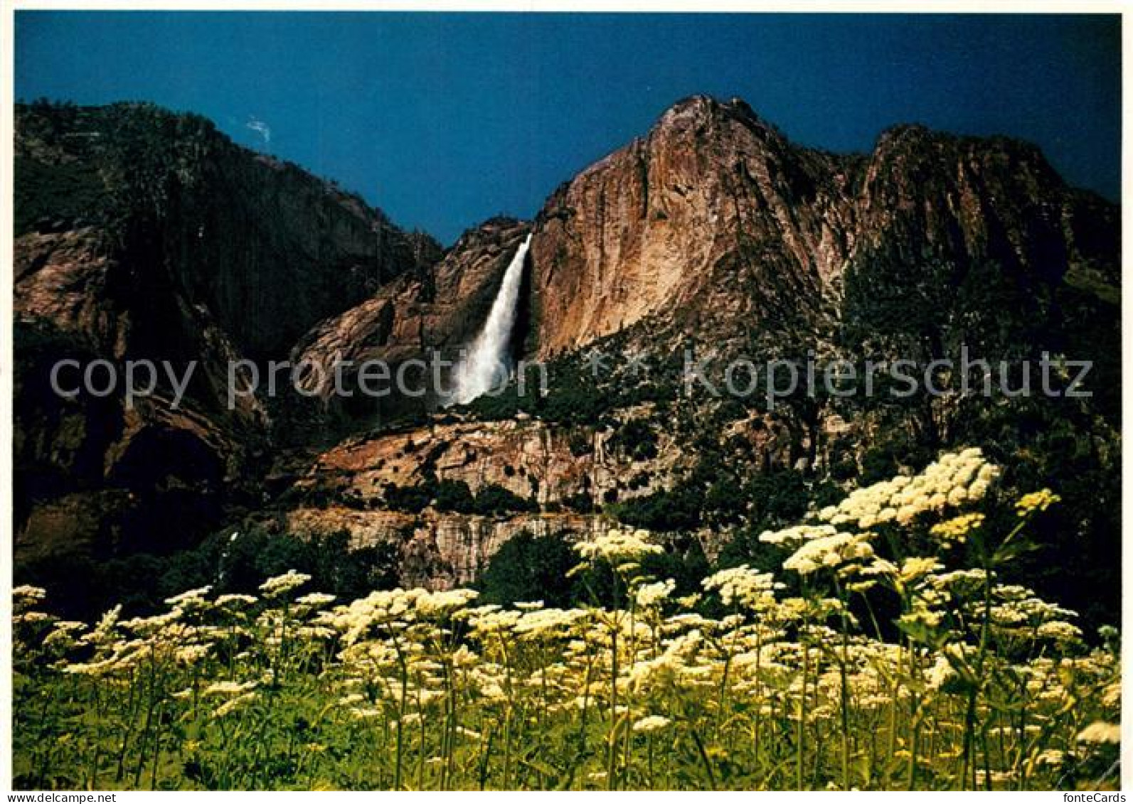 72930706 Yosemite_National_Park Yosemite Fall  - Autres & Non Classés