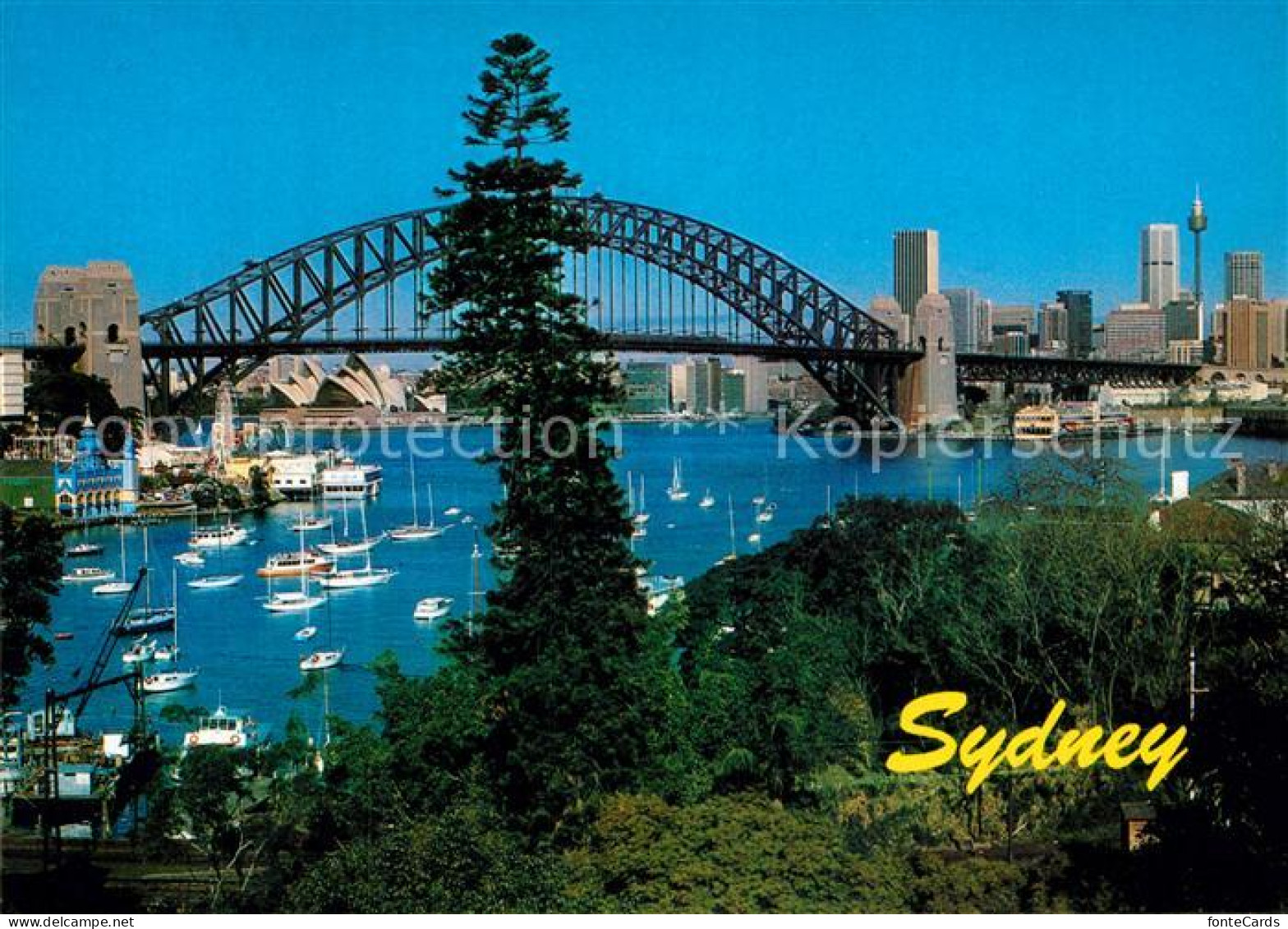 72929603 Sydney_Florida Brueckenpartie Mit Segelbooten - Other & Unclassified