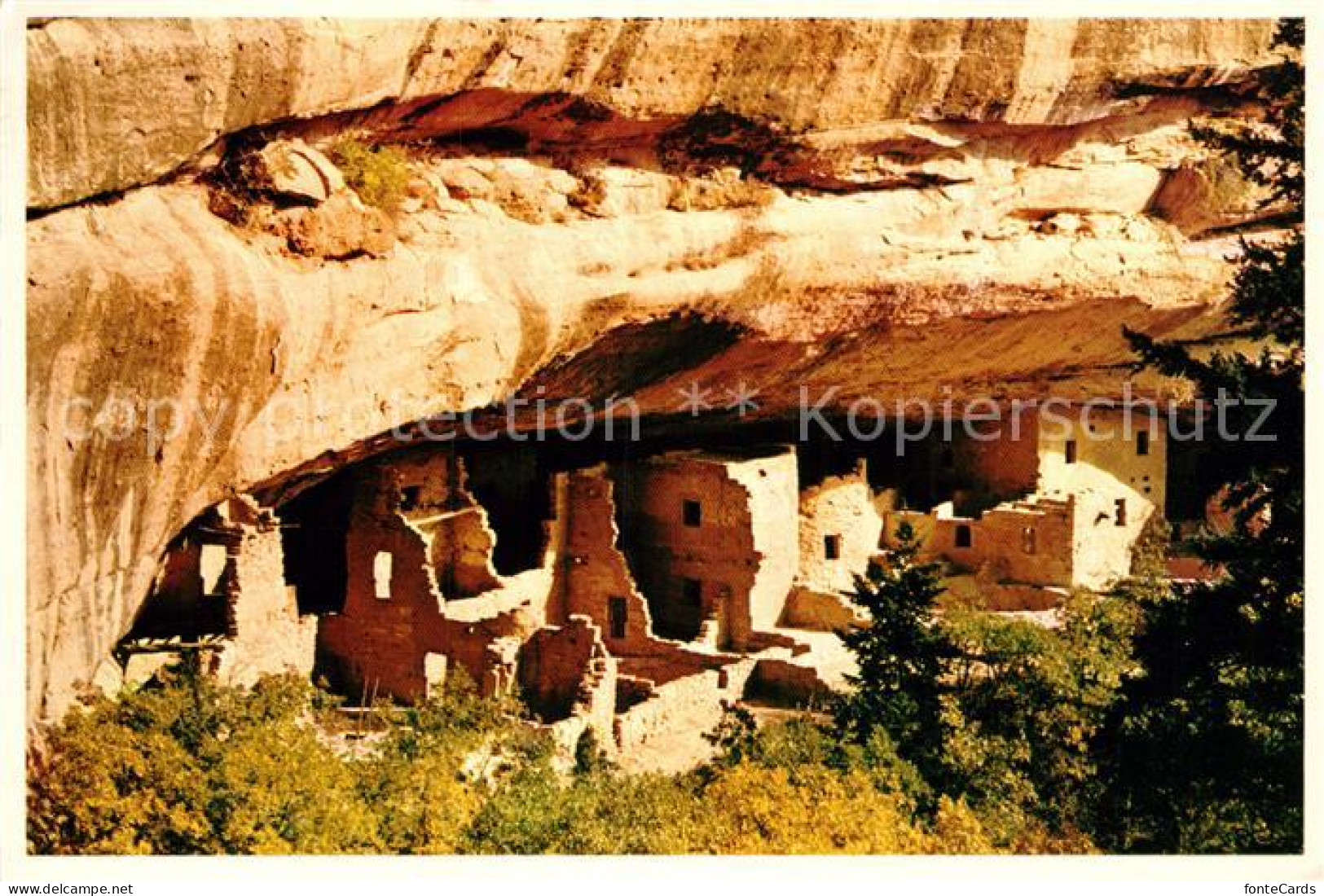 72926235 Mesa Verde National Park Spruce Tree Ruin Cliff Dwelling Mesa Verde Nat - Andere & Zonder Classificatie