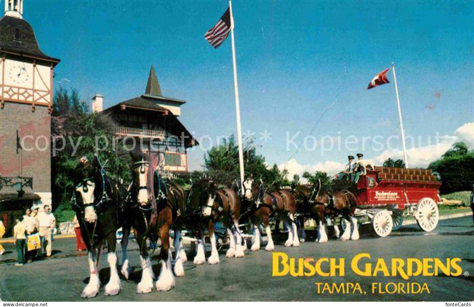 72919798 Tampa_Florida Busch Gardens - Otros & Sin Clasificación
