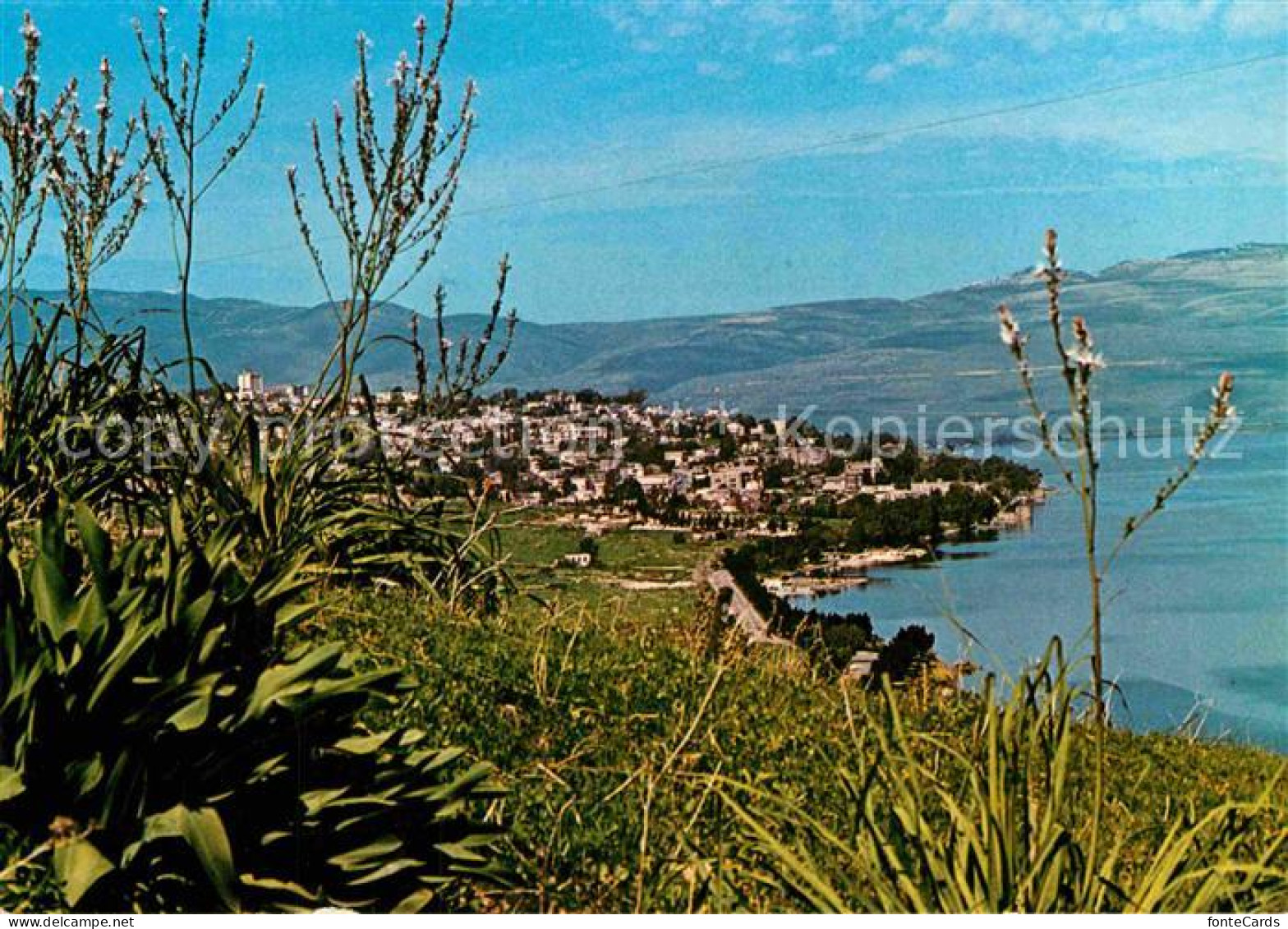 72919322 Tiberias  Tiberias - Israel