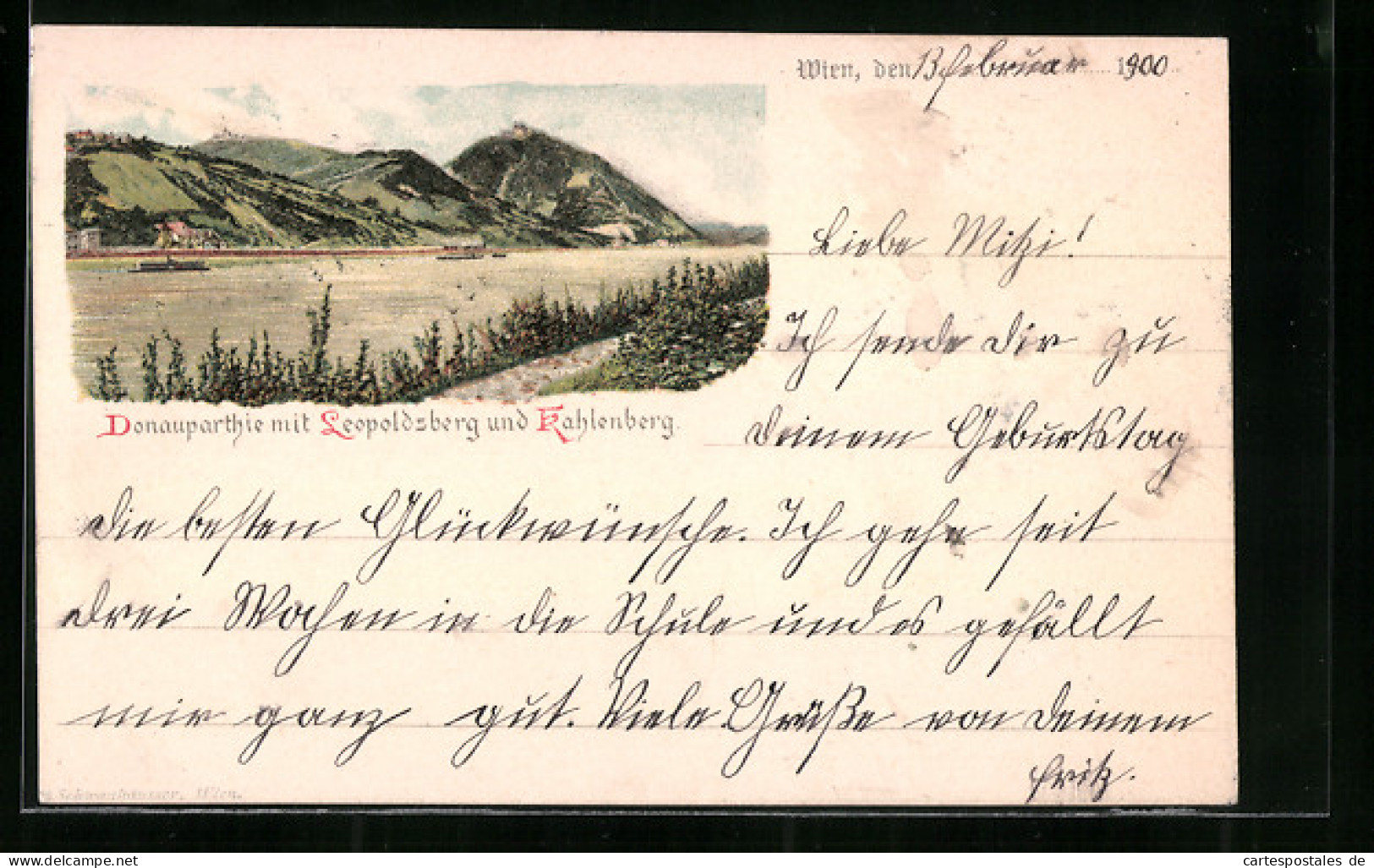 Lithographie Wien, Donaupartie Mit Leopoldsberg Und Kahlenberg  - Otros & Sin Clasificación