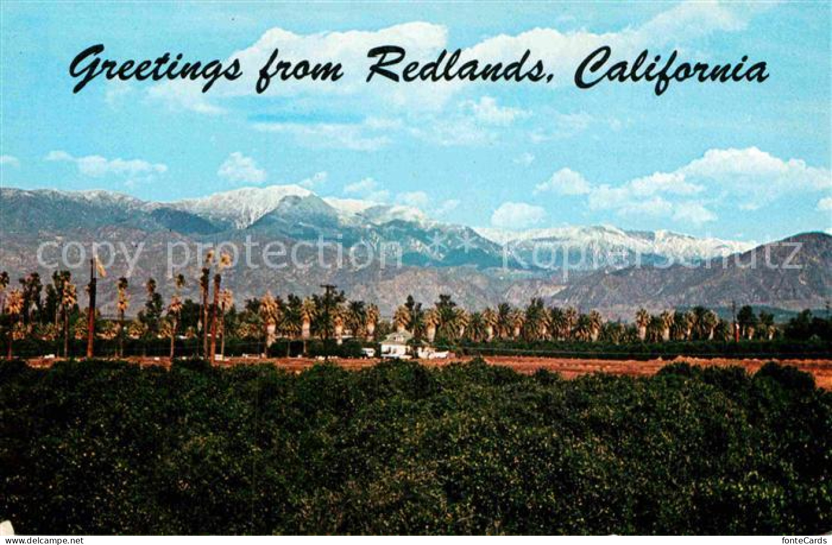 72908206 Redlands_United States  - Other & Unclassified