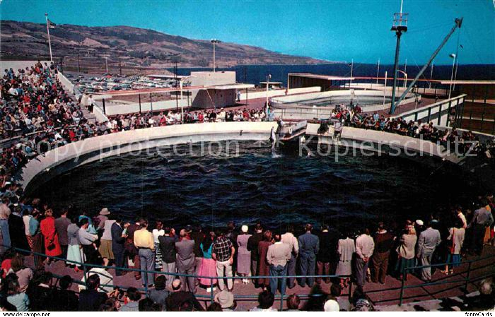 72907189 Los_Angeles_California Marineland Of The Pacific - Autres & Non Classés