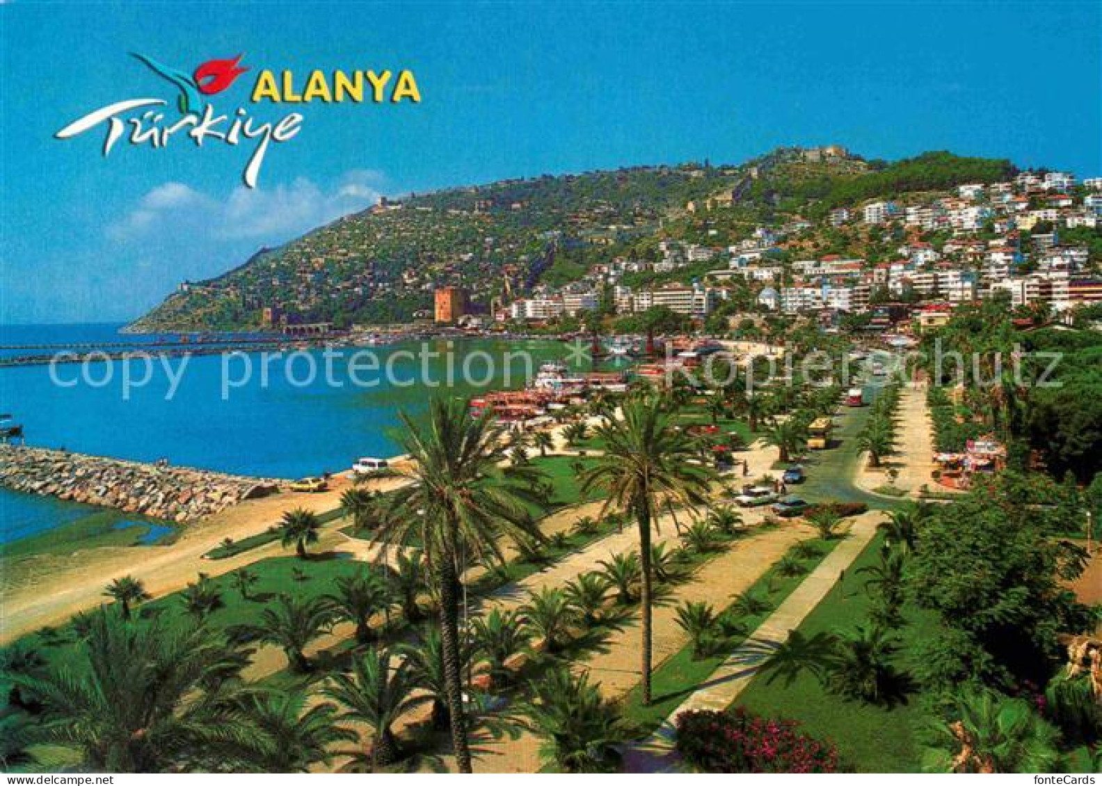 72905548 Alanya  Alanya - Turquie