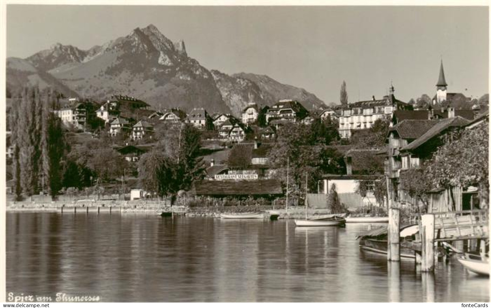 13926587 Spiez_Thunersee_BE Panorama - Sonstige & Ohne Zuordnung