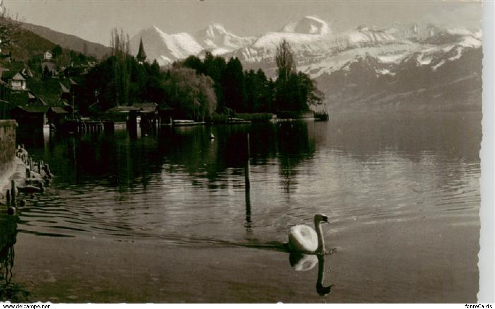 13926585 Hilterfingen_Thunersee_BE Mit Eiger Moench Und Jungfrau - Sonstige & Ohne Zuordnung