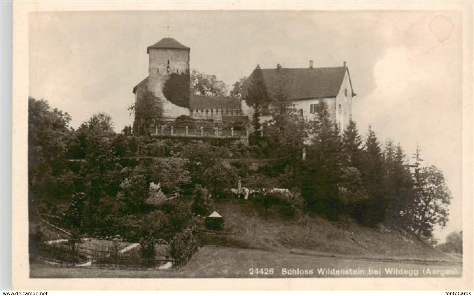 13926572 Wildegg_AG Schloss Wildenstein - Other & Unclassified