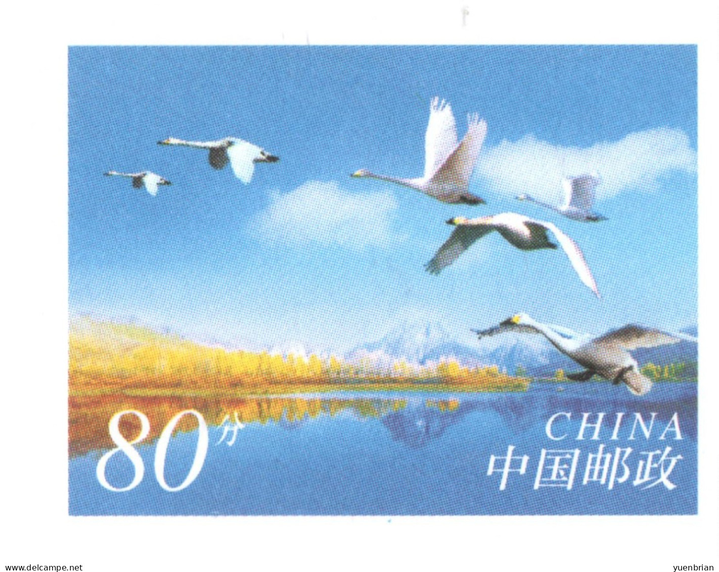 China 2006, Postal Stationary, Pre-Stamped Cover 80-Cent, MNH** - Cygnes