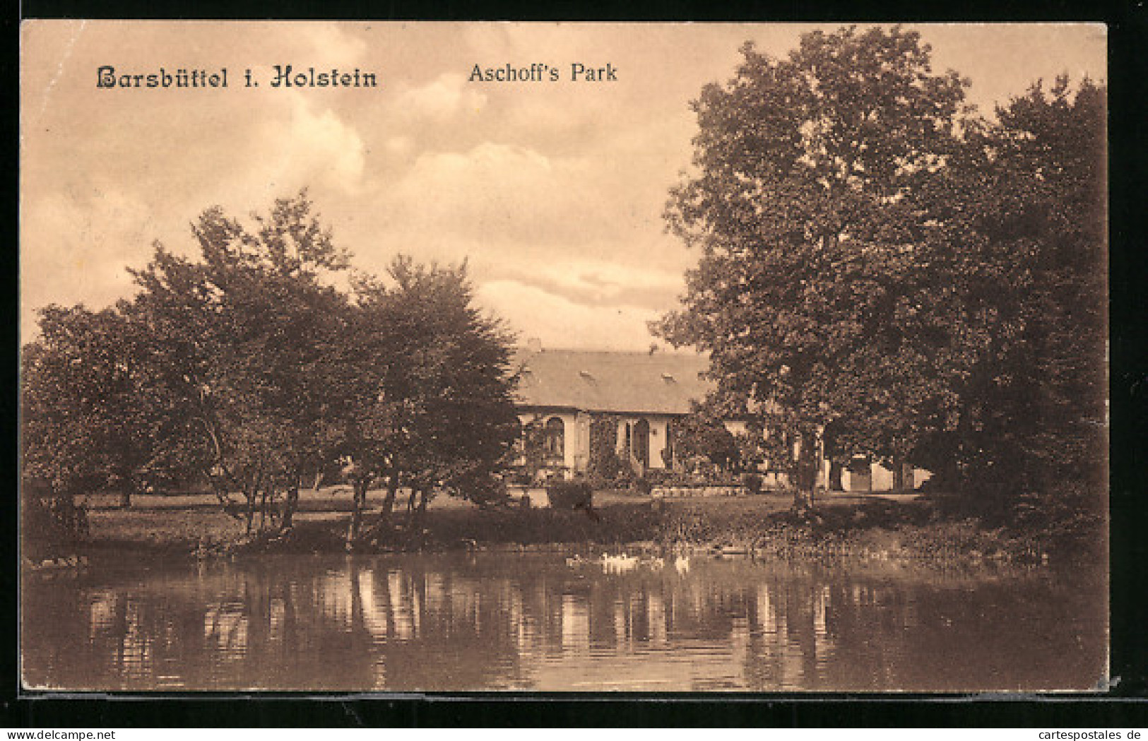 AK Barsbüttel I. Holstein., Schwanenteich In Aschoff`s Park  - Autres & Non Classés