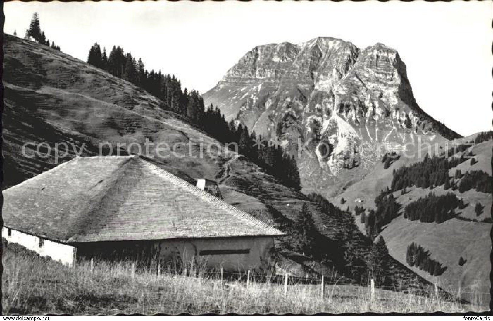 12055346 Moleson-sur-Gruyeres La Vy-des-Pounnes Moleson-sur-Gruyeres - Sonstige & Ohne Zuordnung