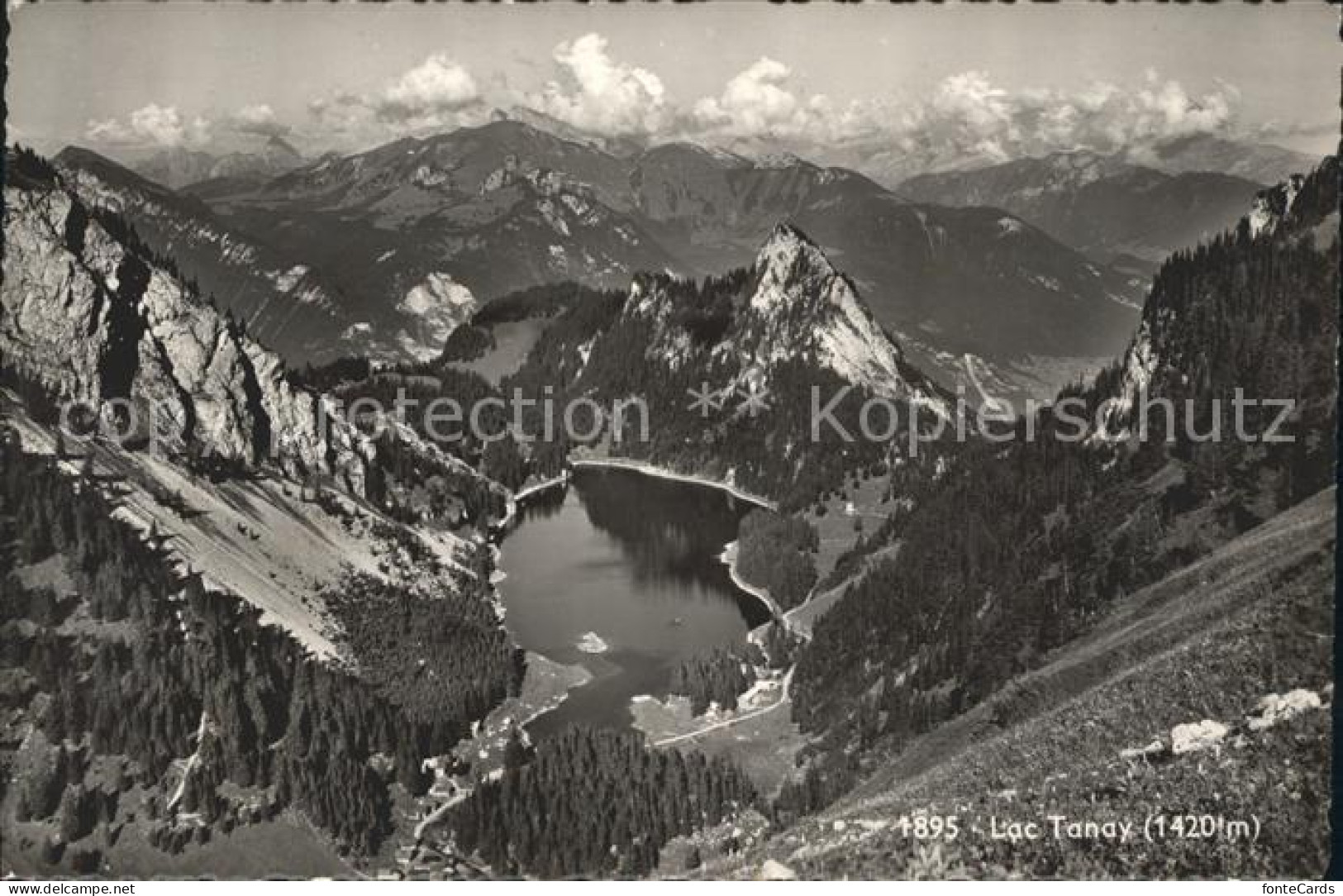 12054296 Neuchatel NE Lac Tanay Neuchatel - Sonstige & Ohne Zuordnung