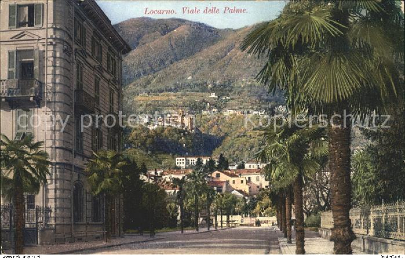 12049166 Locarno TI Viale Delle Palme  - Autres & Non Classés